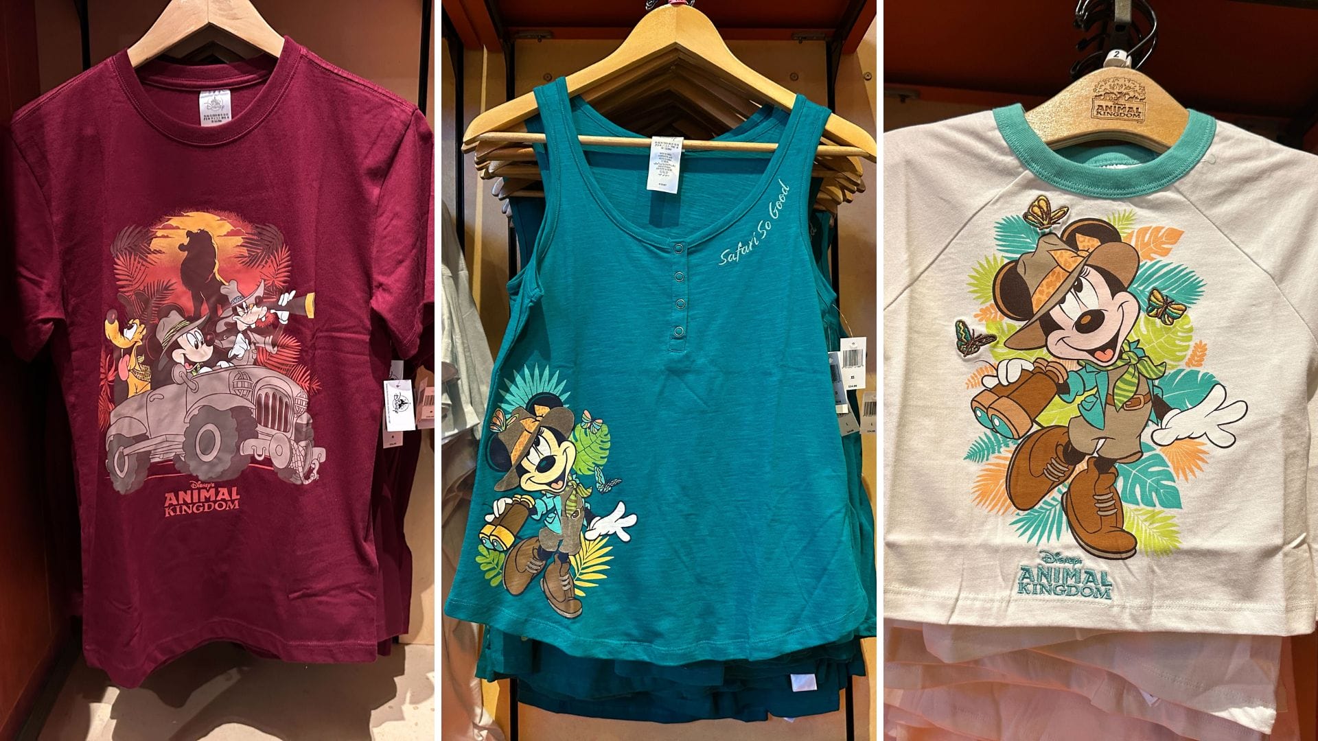 Disney's Animal Kingdom T-Shirts