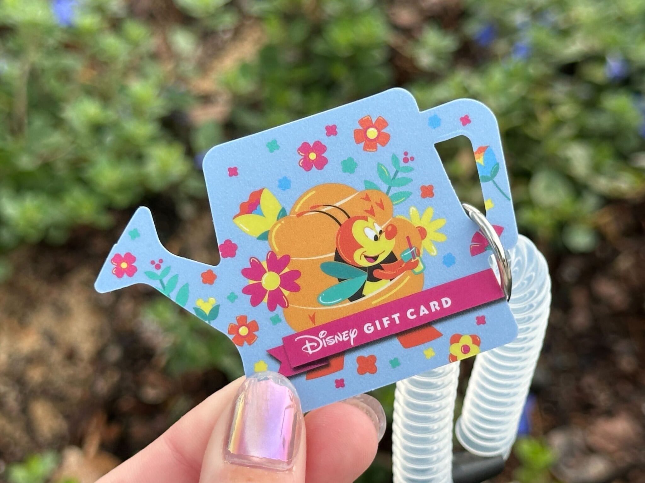 Souvenir Gift Cards Available at 2026 EPCOT International Flower ...