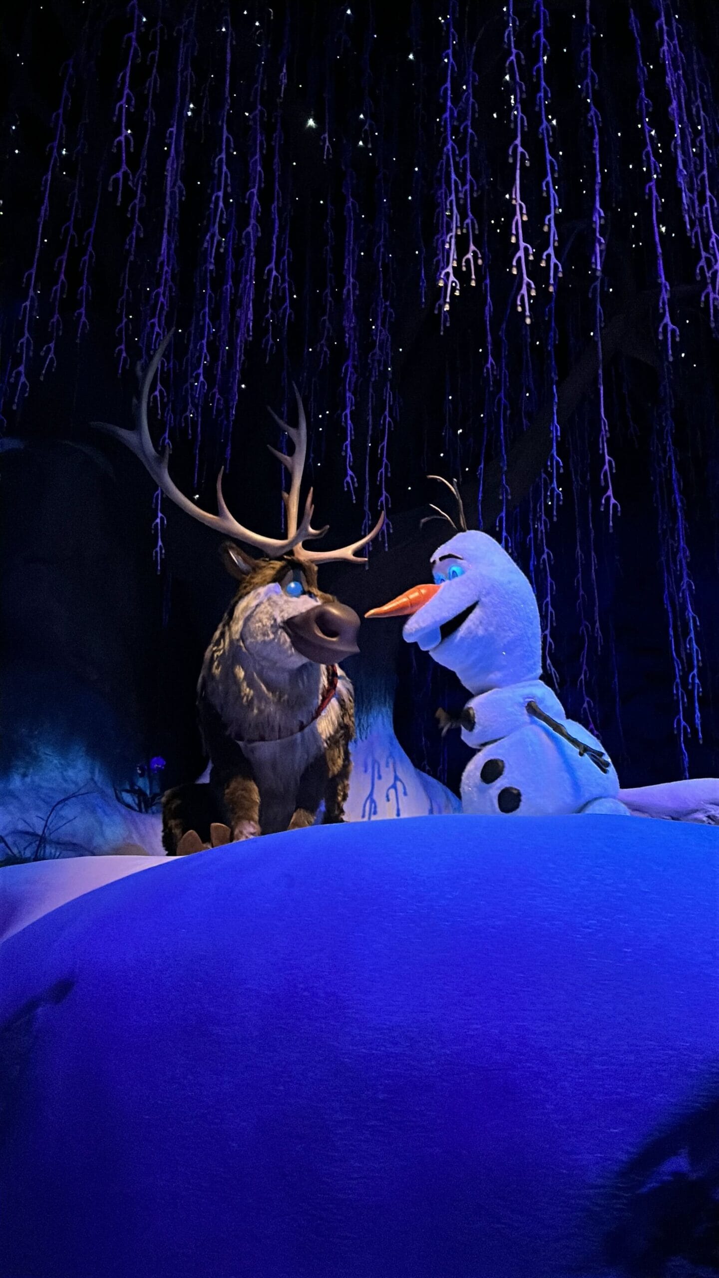 Updated animatronics in Frozen Ever After attraction in EPCOT