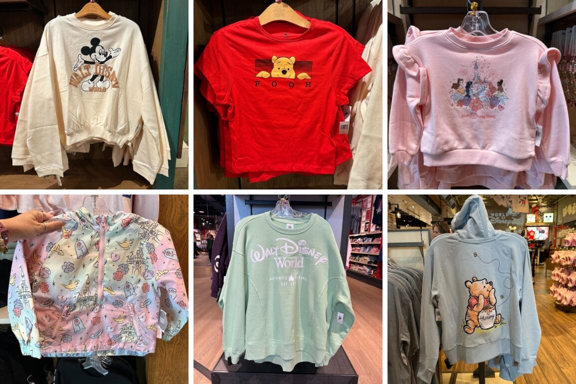 Mickey, Minnie, Winnie the Pooh, Princess, & More Apparel at Disney World
