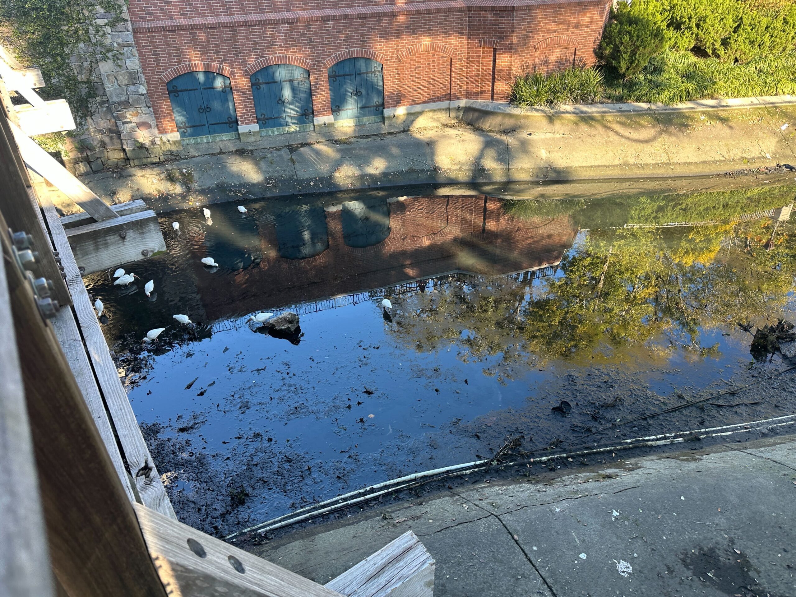 Cinderella Castle Moat Drained, Repainting Continues at Magic Kingdom