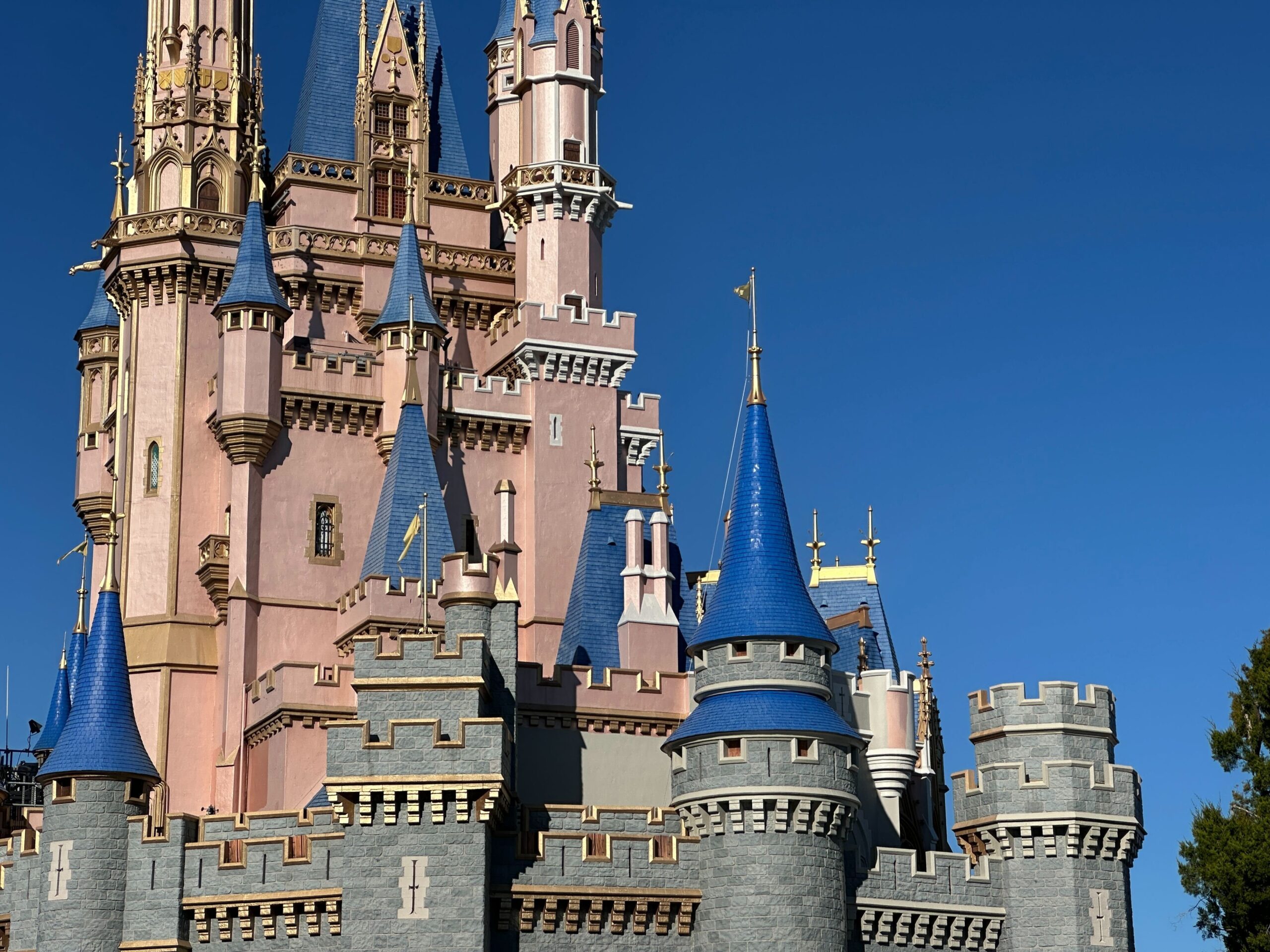 Cinderella Castle Moat Drained, Repainting Continues at Magic Kingdom
