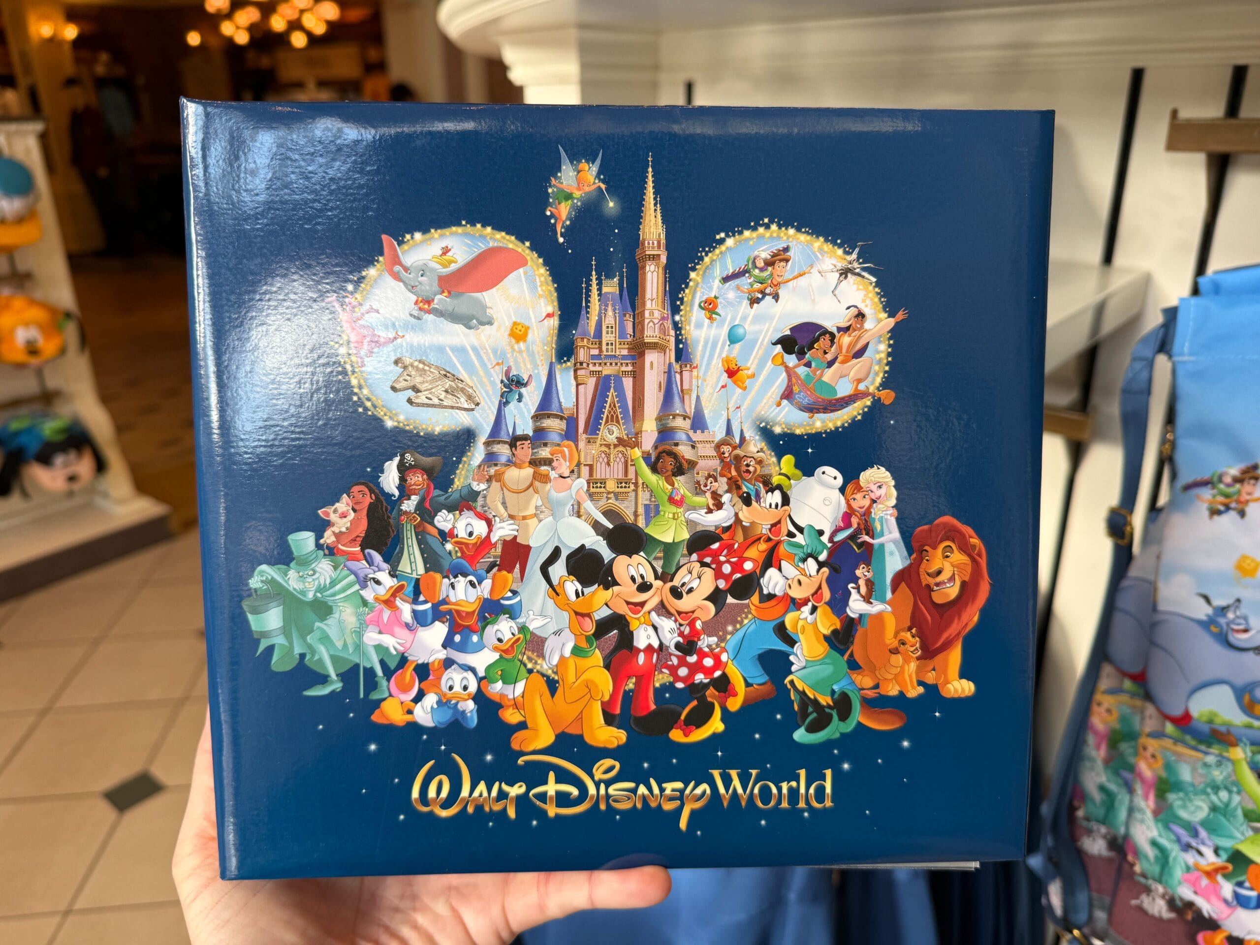 Walt Disney World Storybook Collection Featuring Beloved Characters