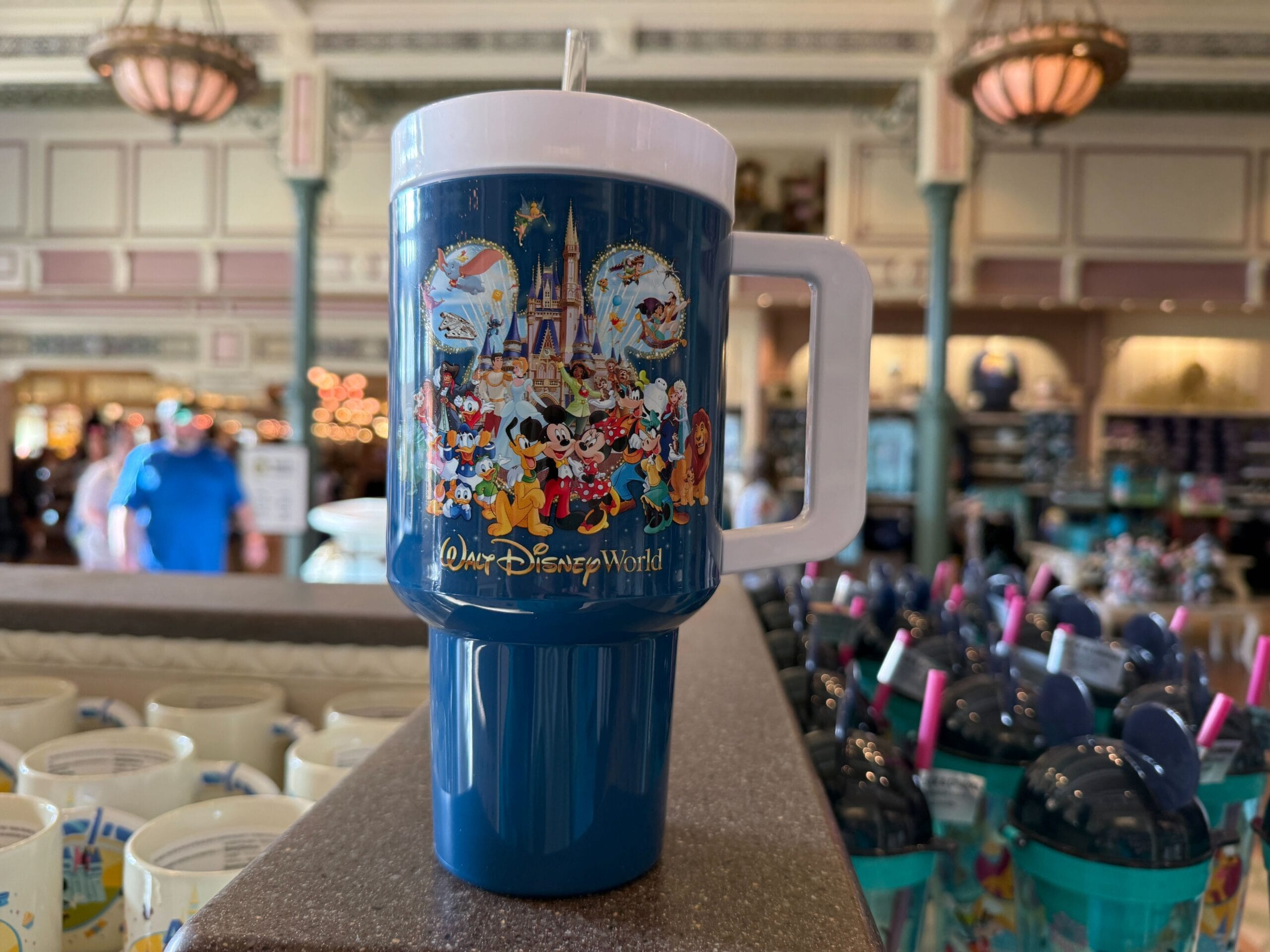 Walt Disney World Storybook Collection Featuring Beloved Characters