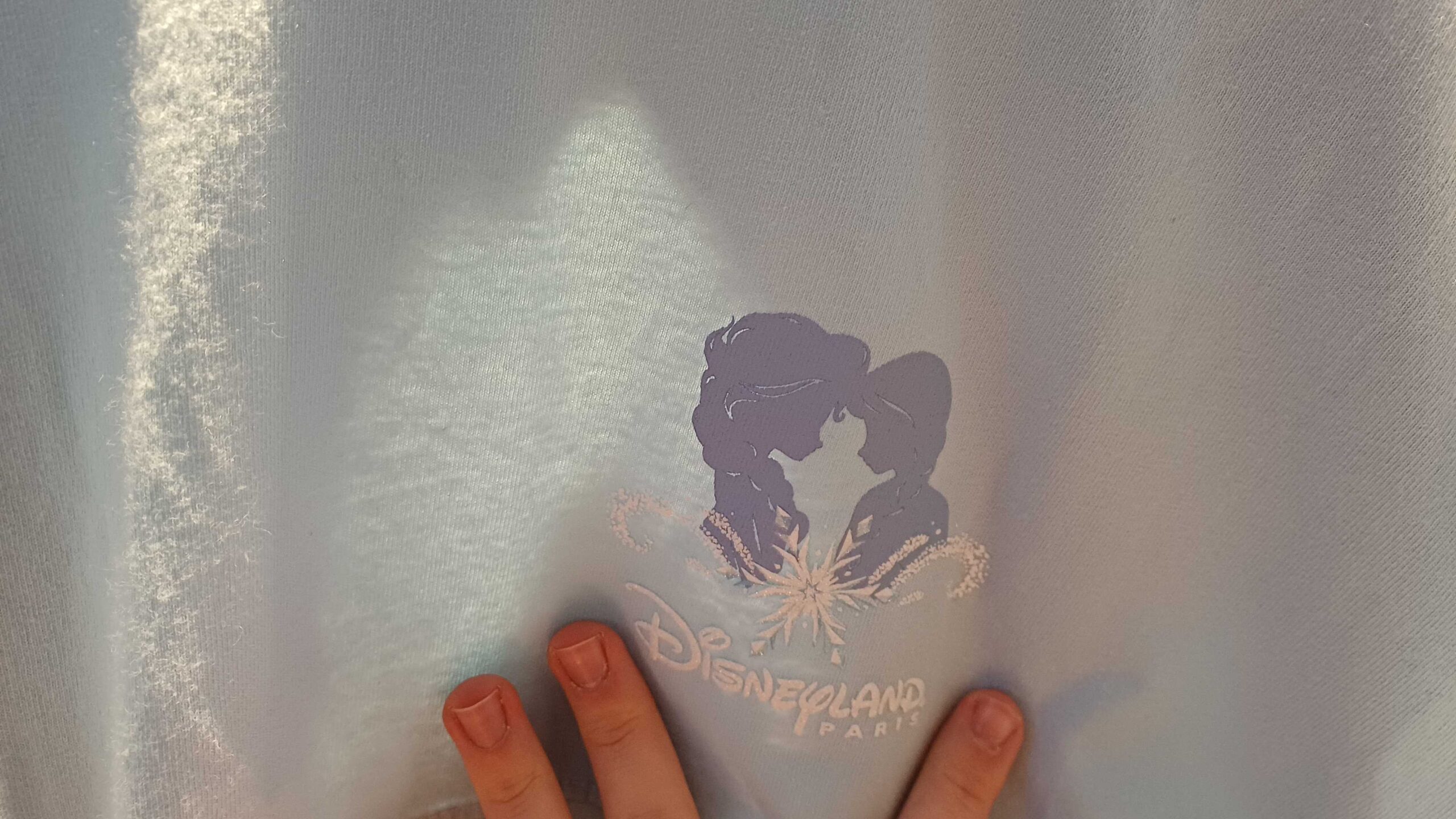 On the front is a pair of sihlouettes, Anna and Elsa, touching foreheads above a white snowflake and the Disneyland Paris wordmark.