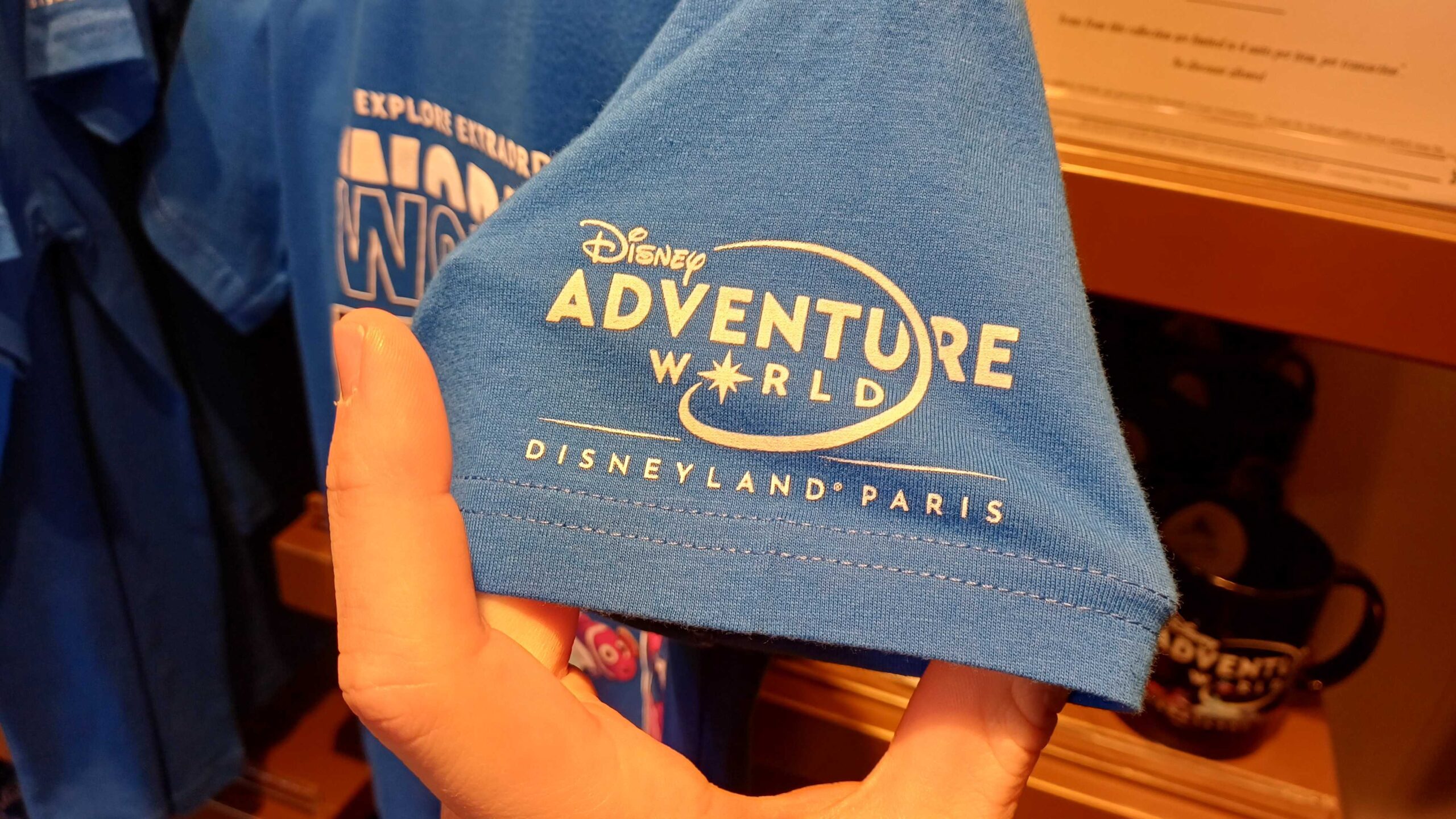 Disney Adventure World Grand Opening Merchandise