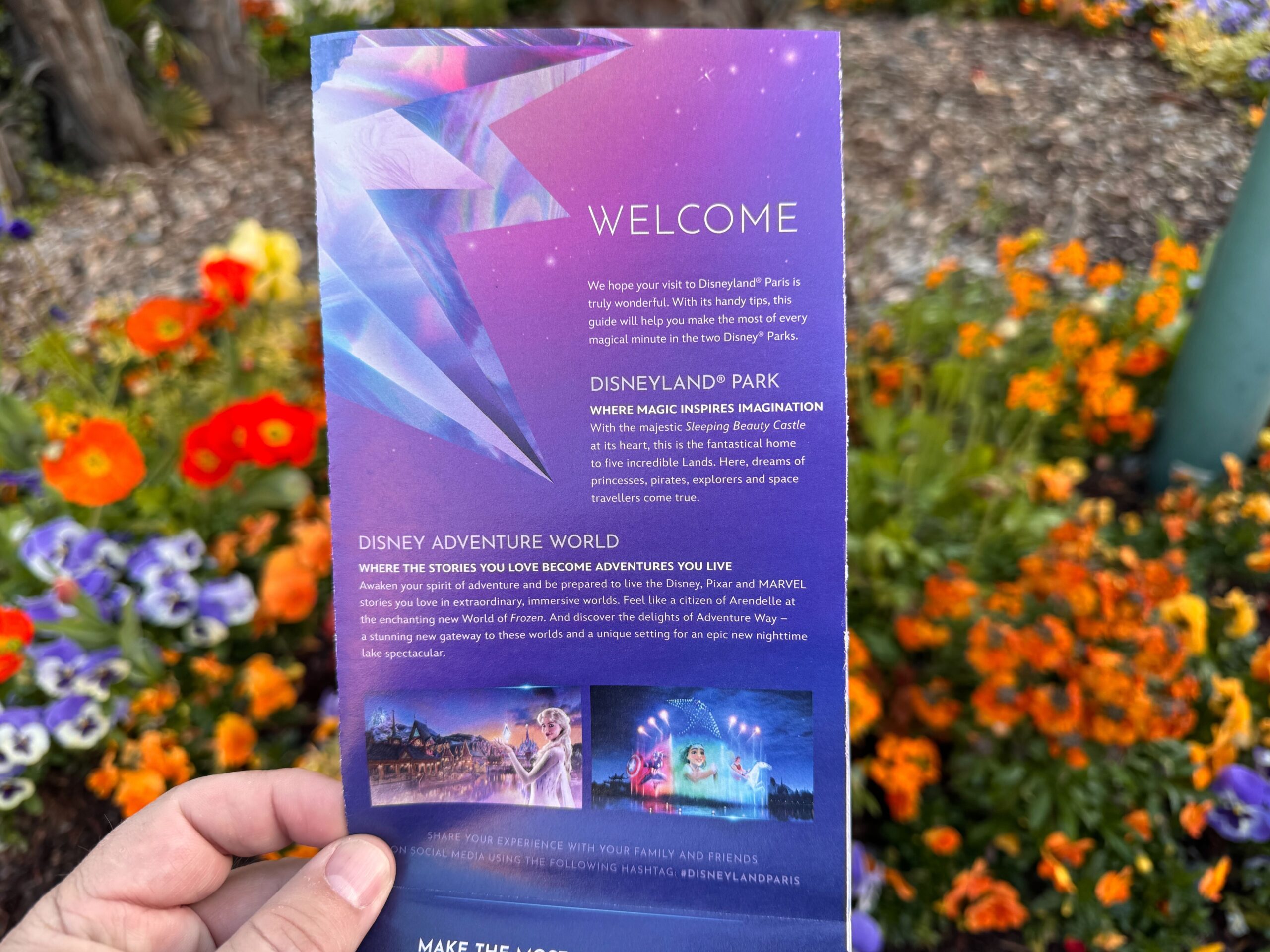 DLP updated guidemap featuring Disney Adventure World