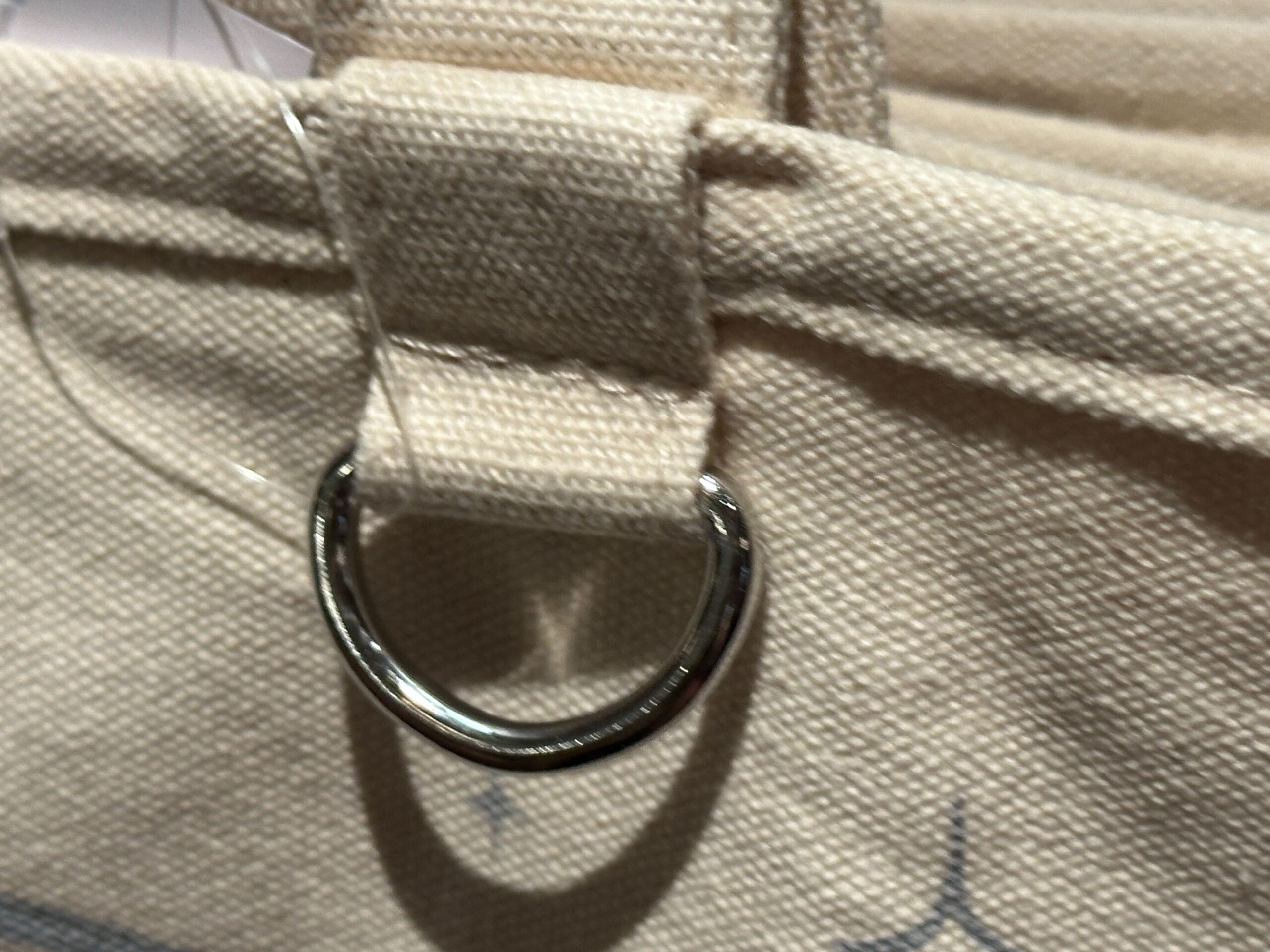 Walt Disney World Cinderella Castle Tote
