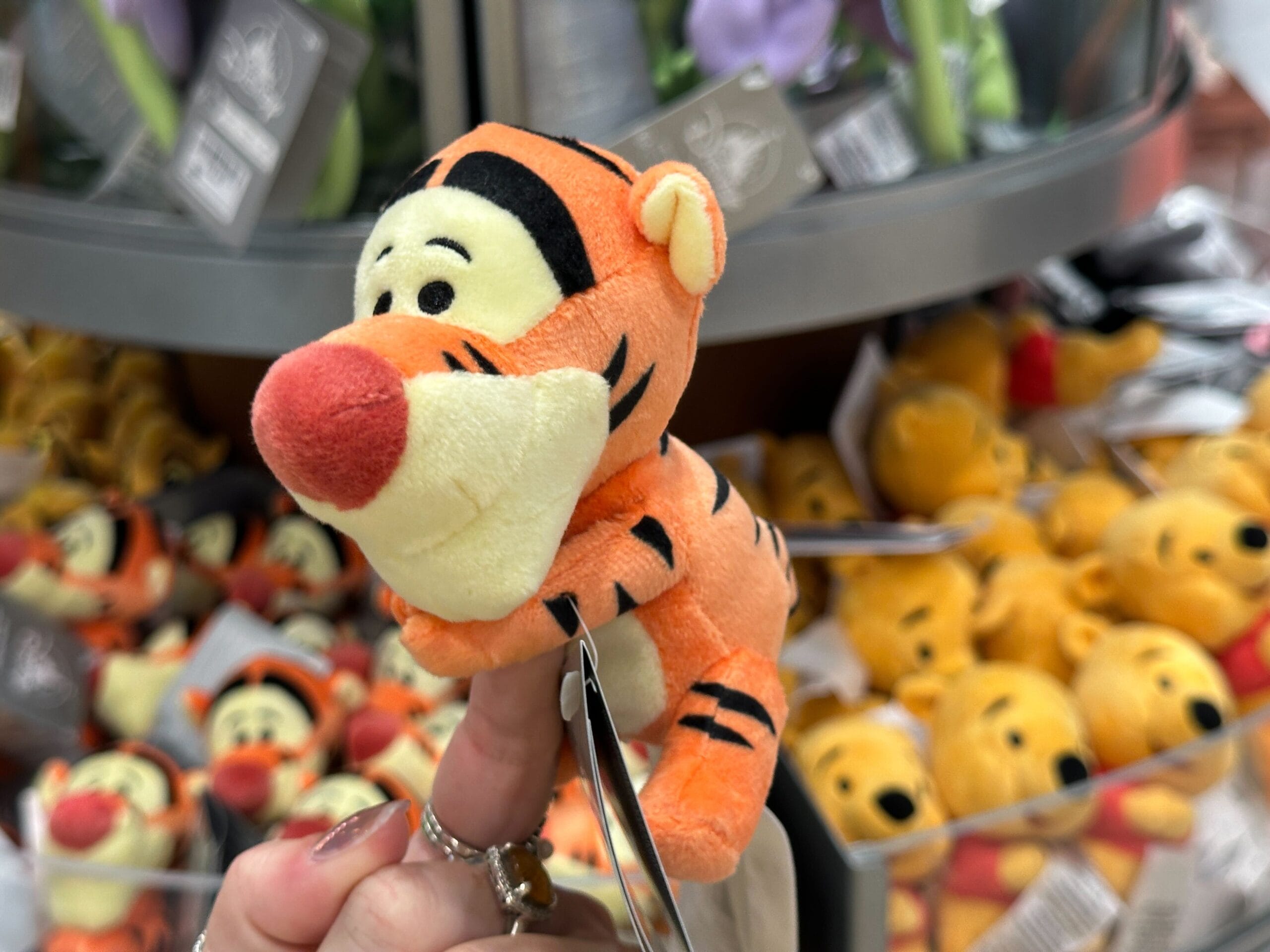 Tigger, Goofy, and Pluto Plush Magnet Buddies at Walt Disney World