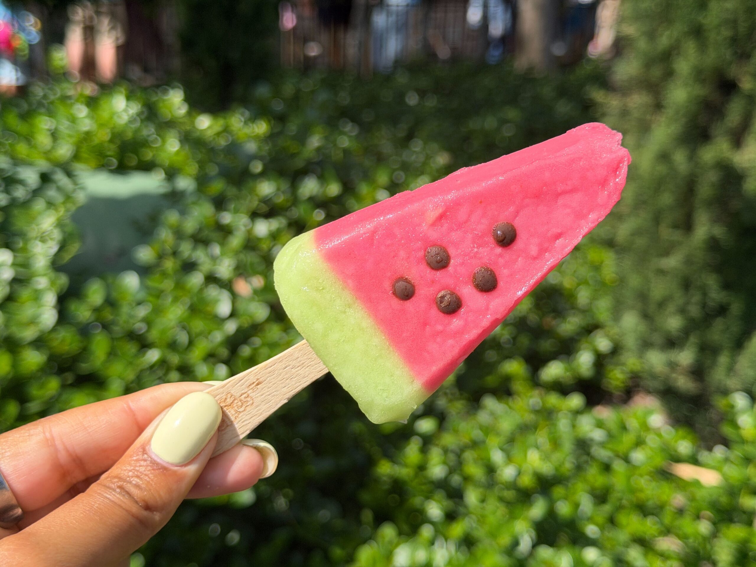 REVIEW: Watermelon Ice Block at Disneyland Park