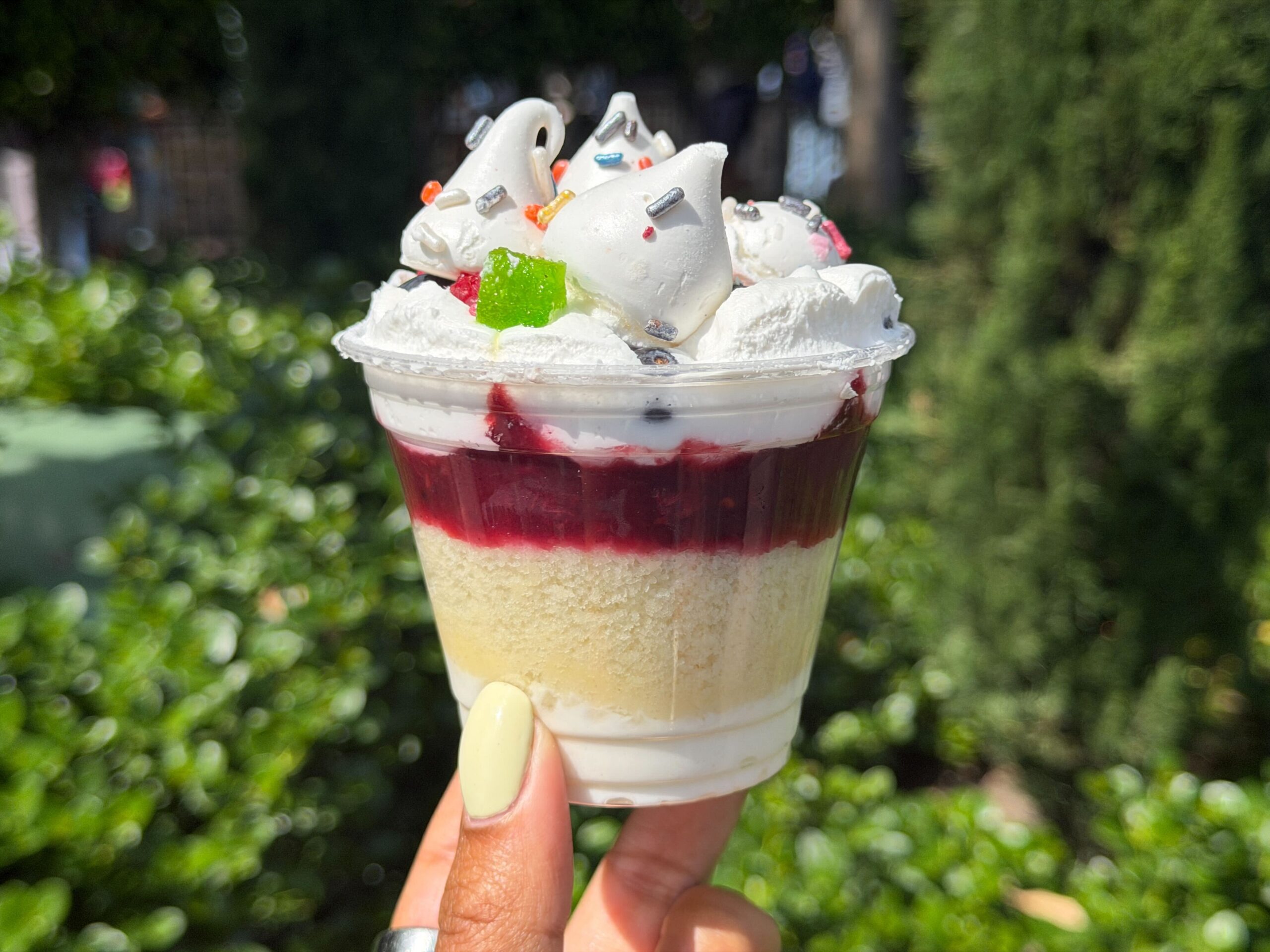 REVIEW: Pavlova Parfait Bluey-Themed Treat at Disneyland Park