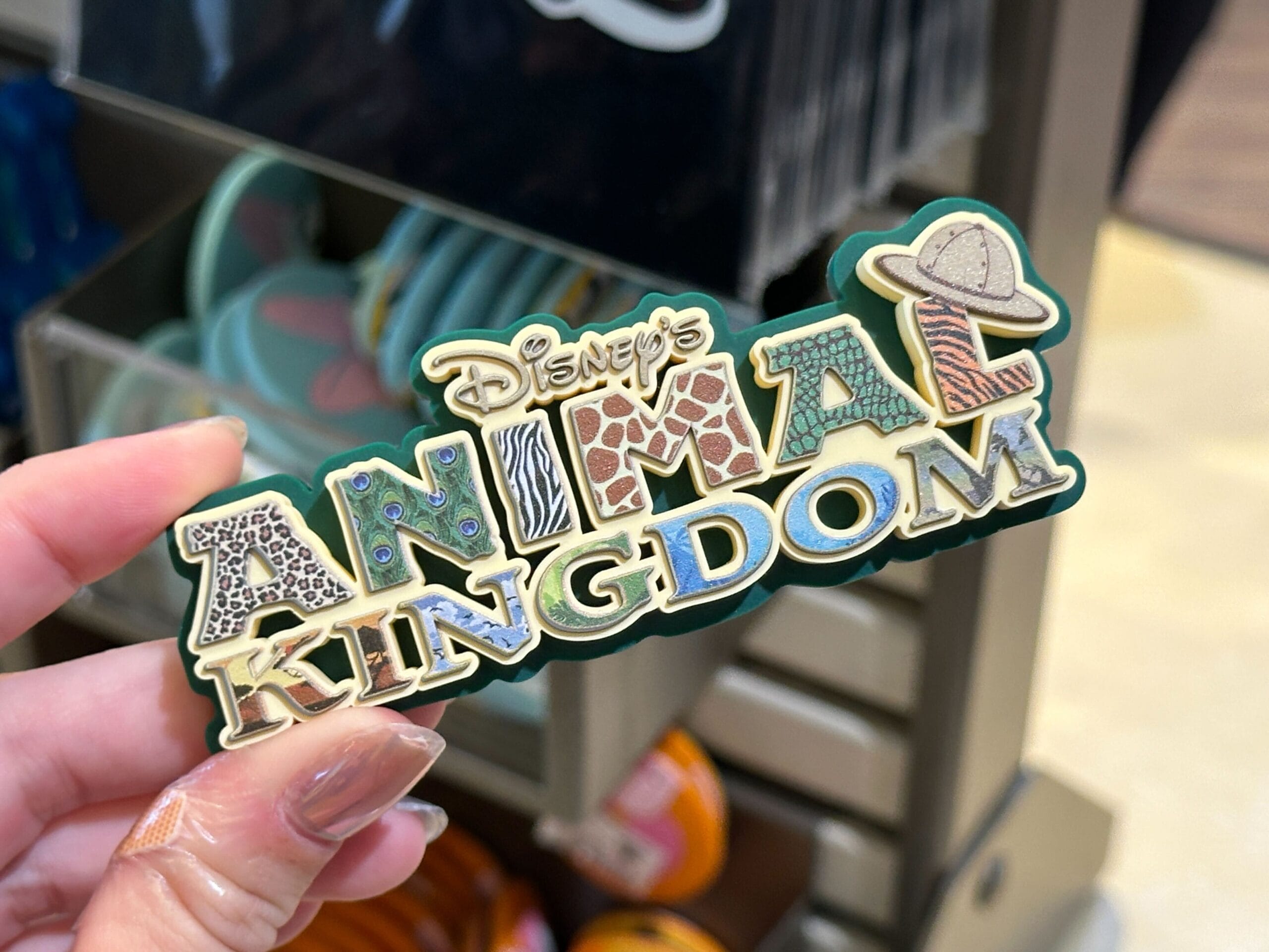 WDW Park Magnet series