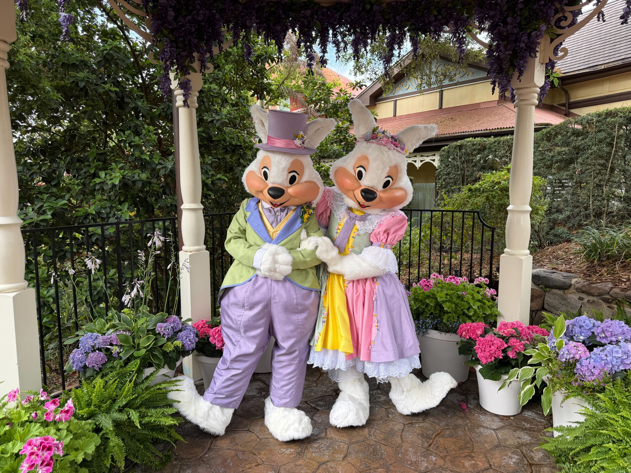 Mr. and Mrs. Easter Bunny Hop over to Magic Kingdom for 2026 Meet and Greet