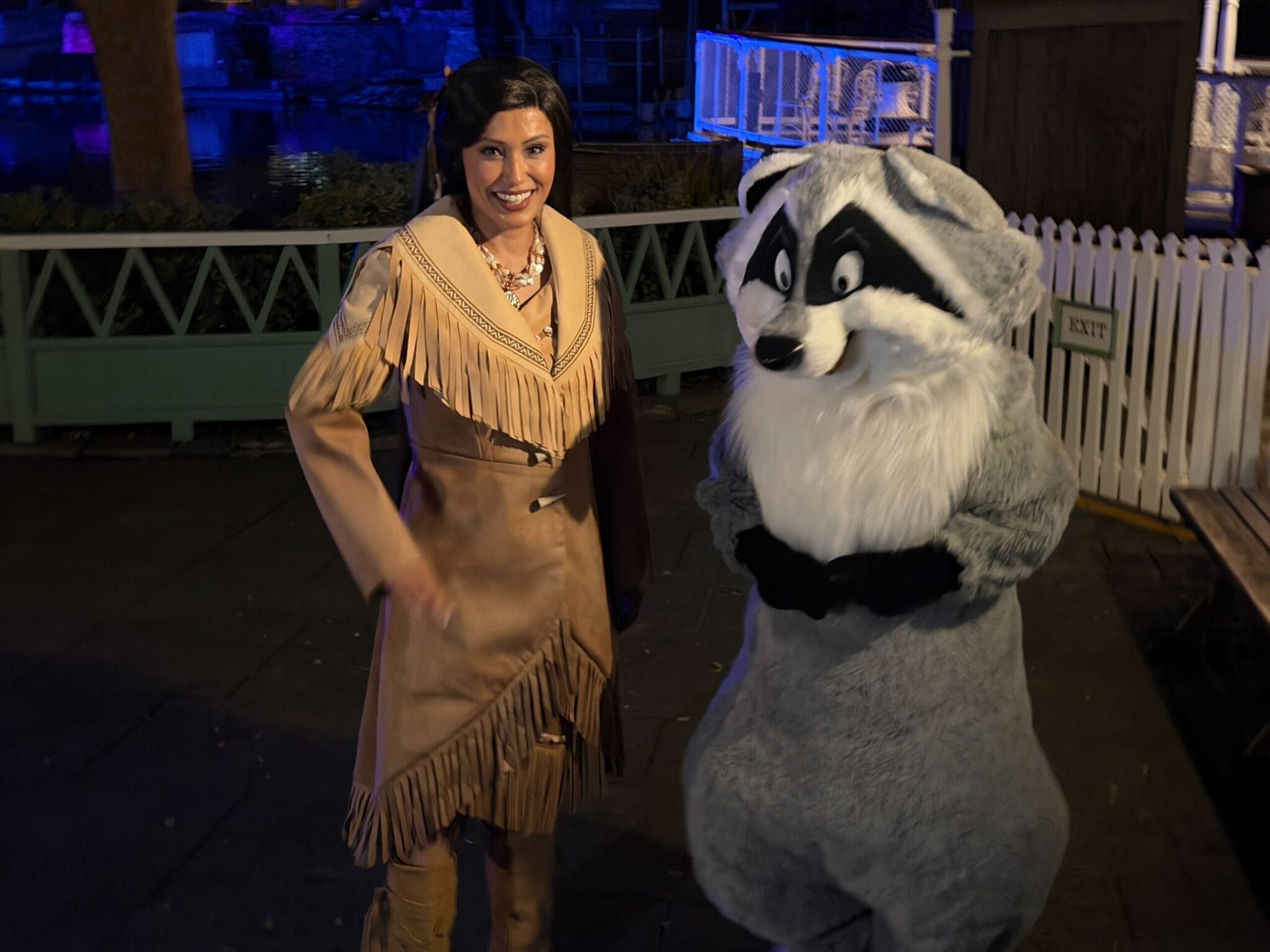 Nostalgic Character Meet and Greets at Disneyland After Dark 70 Years