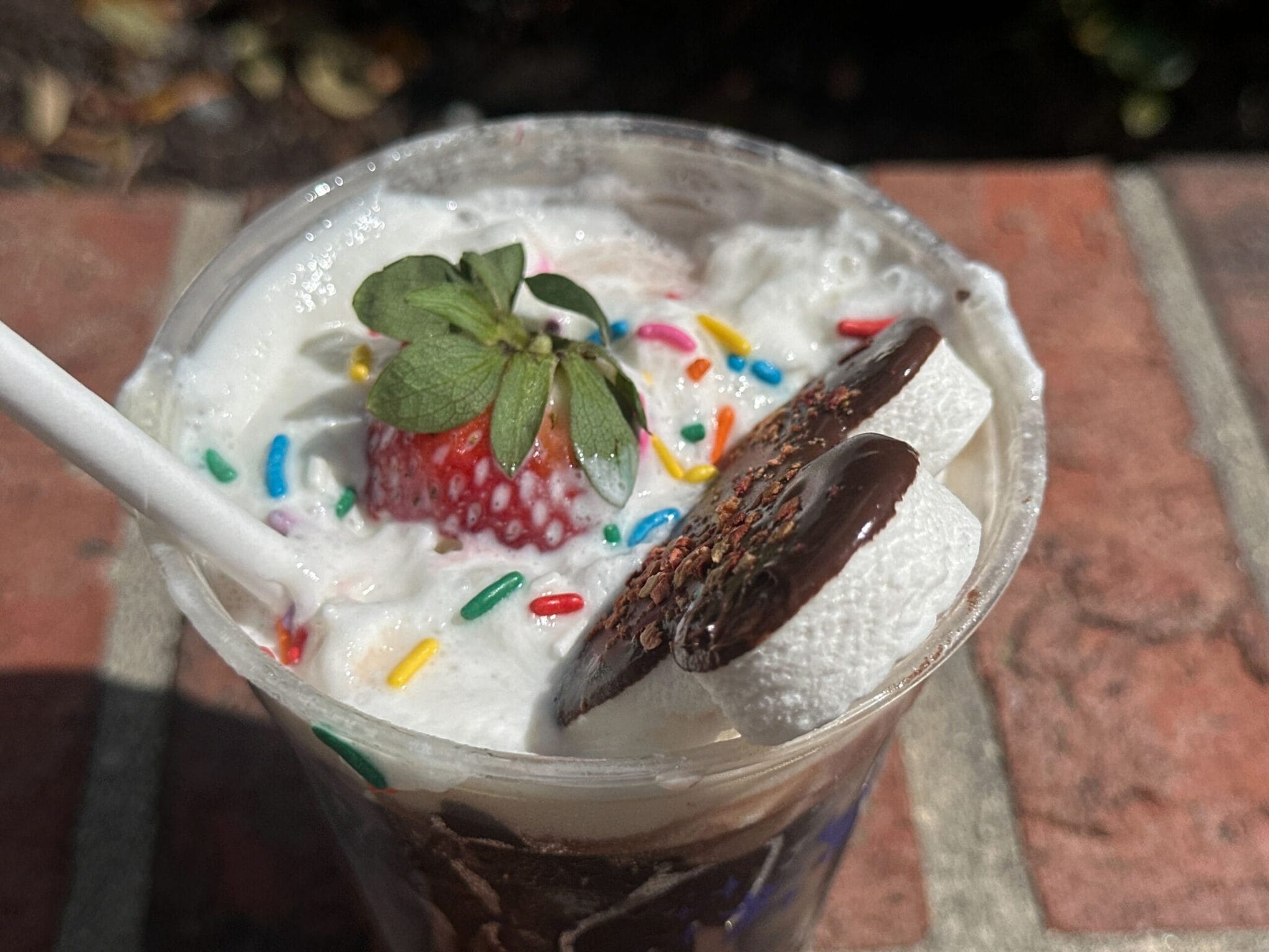 REVIEW: Frozen Cocoa Drink is a Glorified Chocolate Milk Mess - Disney ...