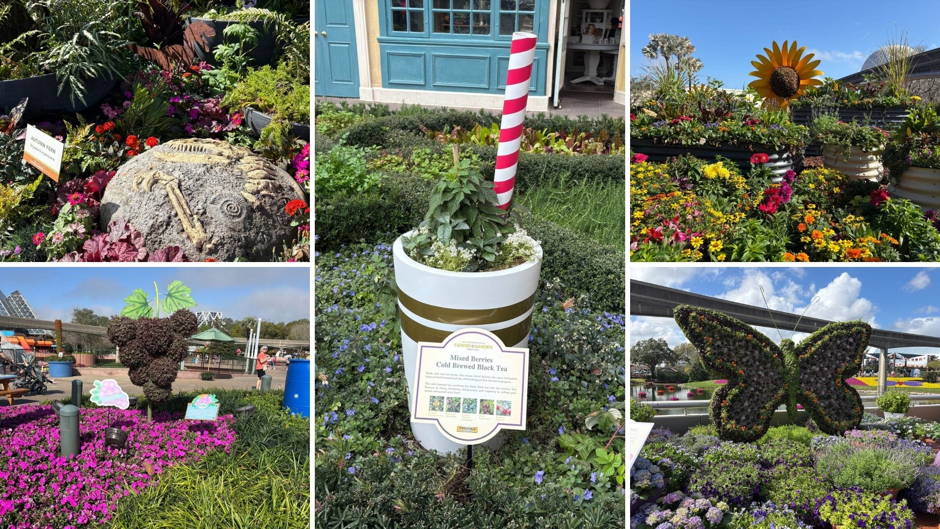 2026 EPCOT International Flower and Garden Festival