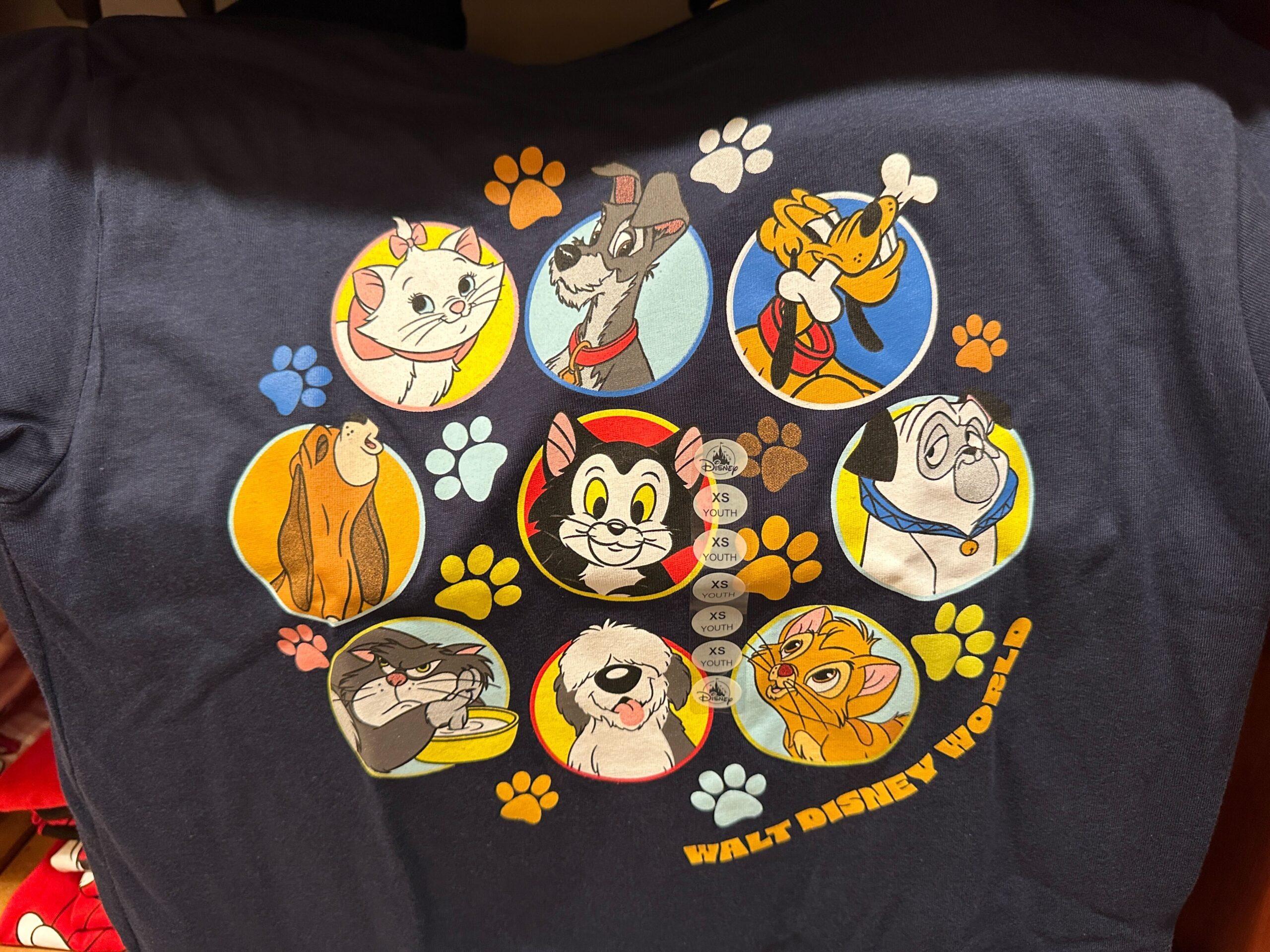 Disney Pets Youth T-Shirt