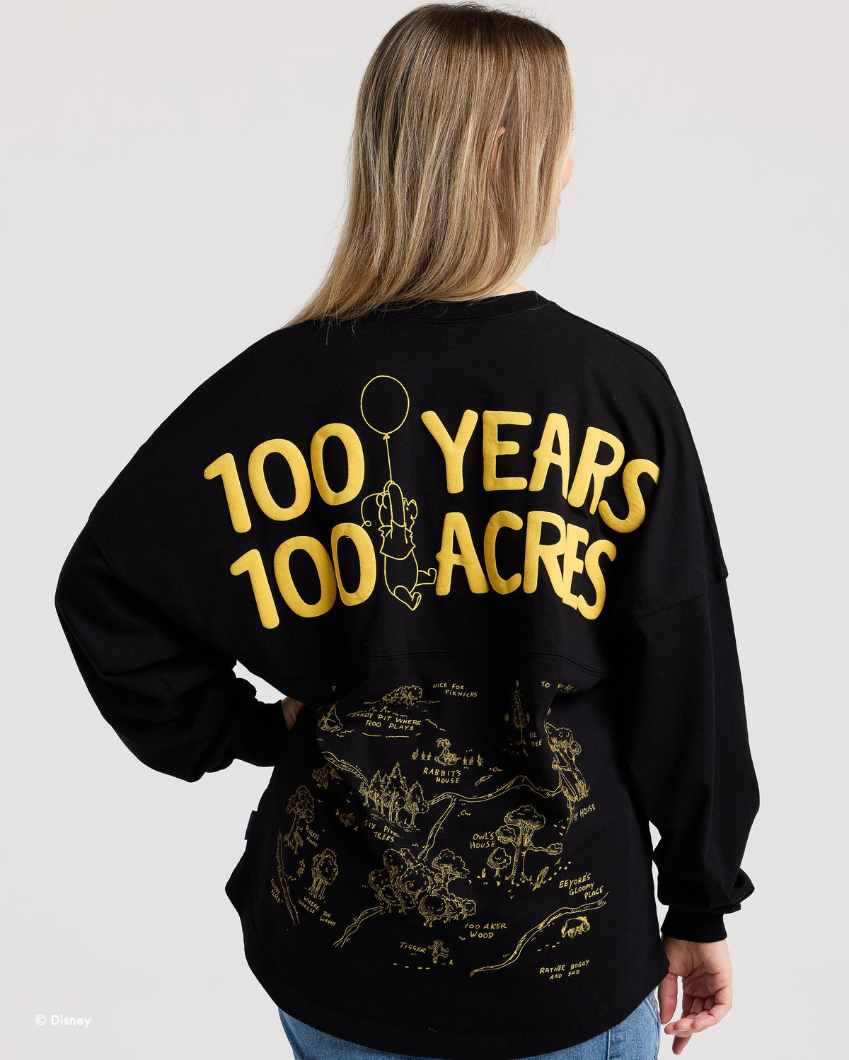 Winnie The Pooh 100th Year Anniversary Spirit Jersey
