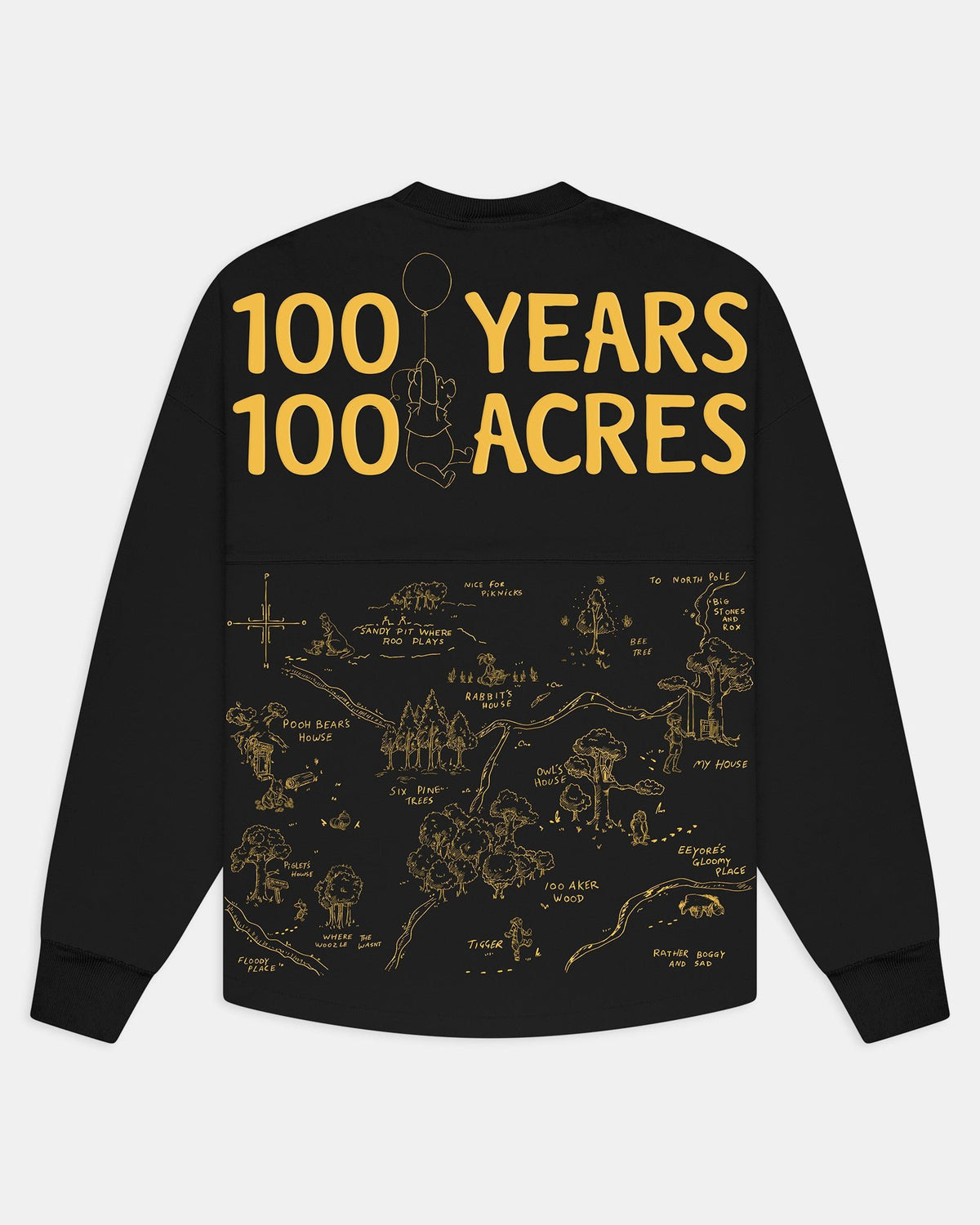 Winnie The Pooh 100th Year Anniversary Spirit Jersey