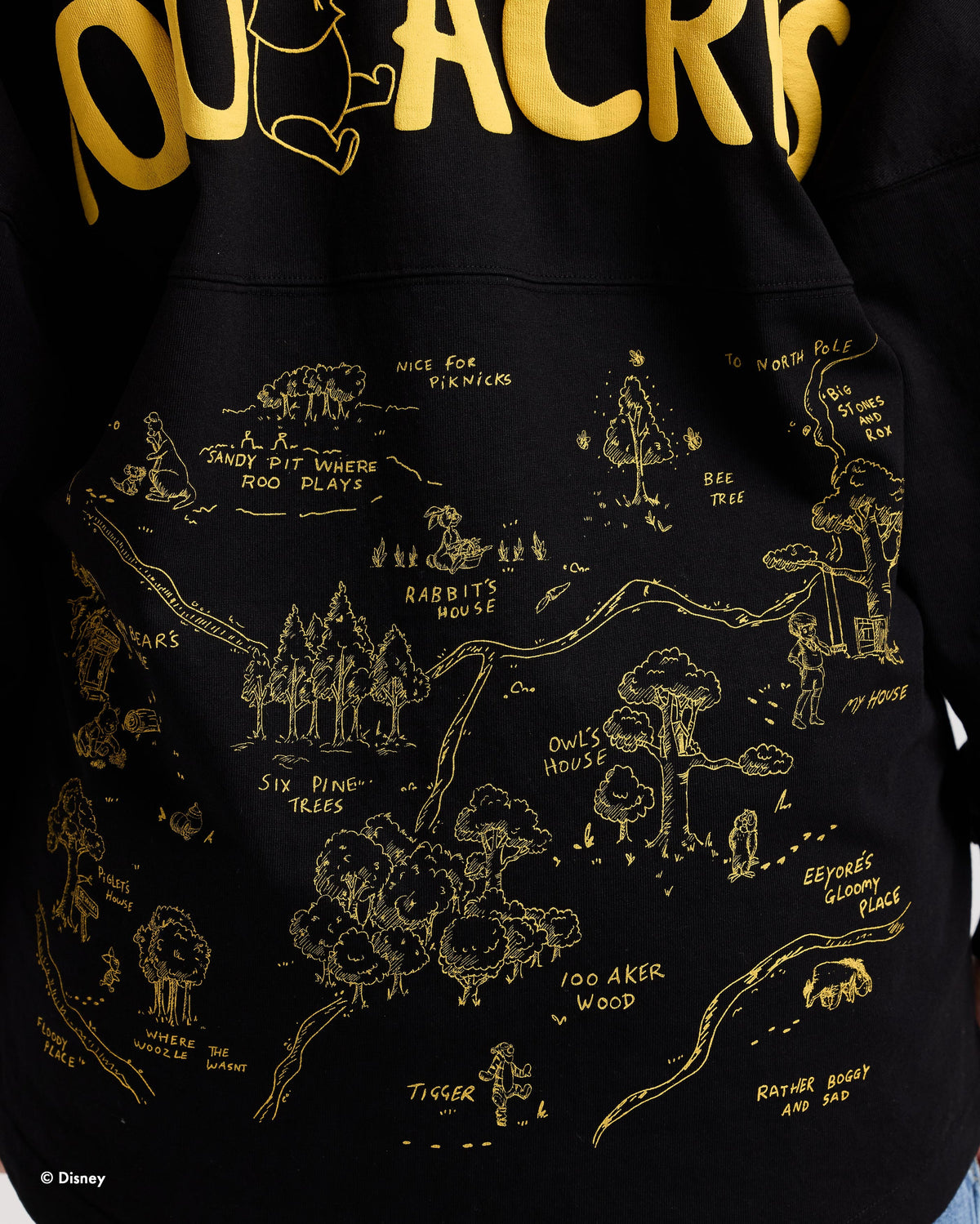 Winnie The Pooh 100th Year Anniversary Spirit Jersey