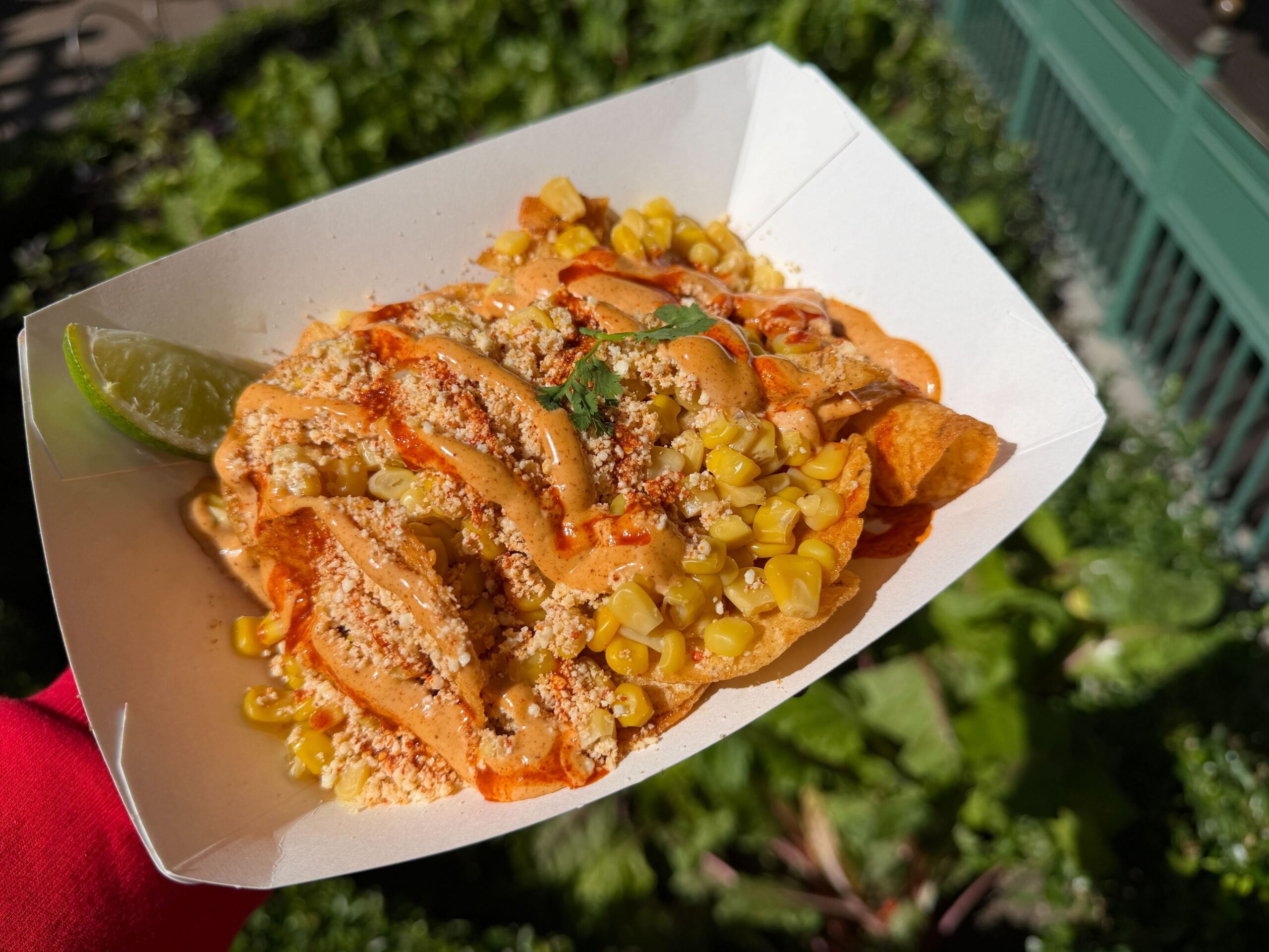 Esquites Loaded Chips from Paradise Garden Grill in Disneyland Resort