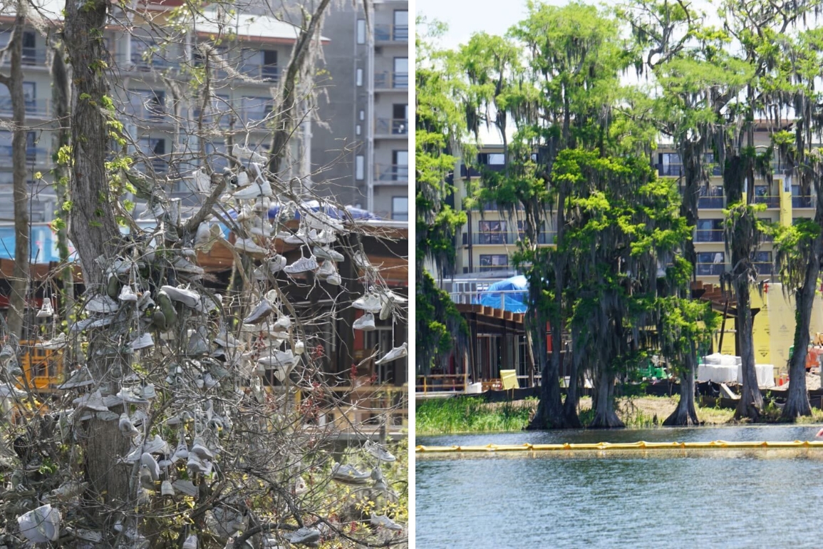 Famous Bay Lake ‘Shoe Tree’ Stripped as Lakeshore Lodge Construction Continues at Walt Disney World
