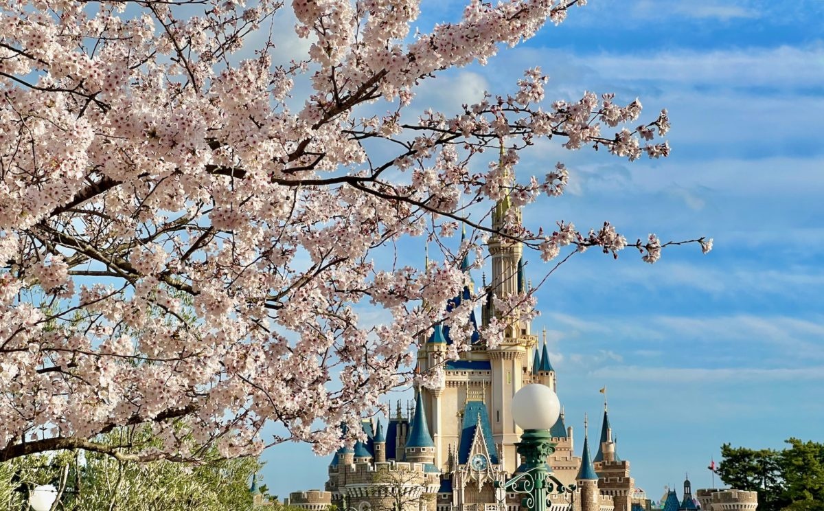 Tokyo Disney Resort Hit a Net Sales Record in FY25