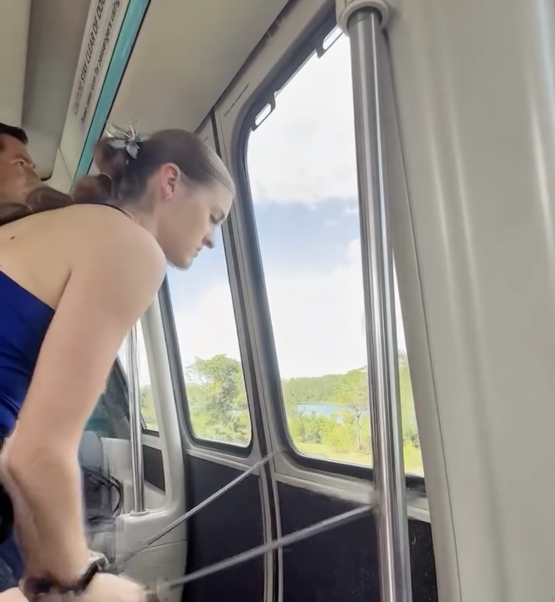 Monorail Teal shutdown on EPCOT Line