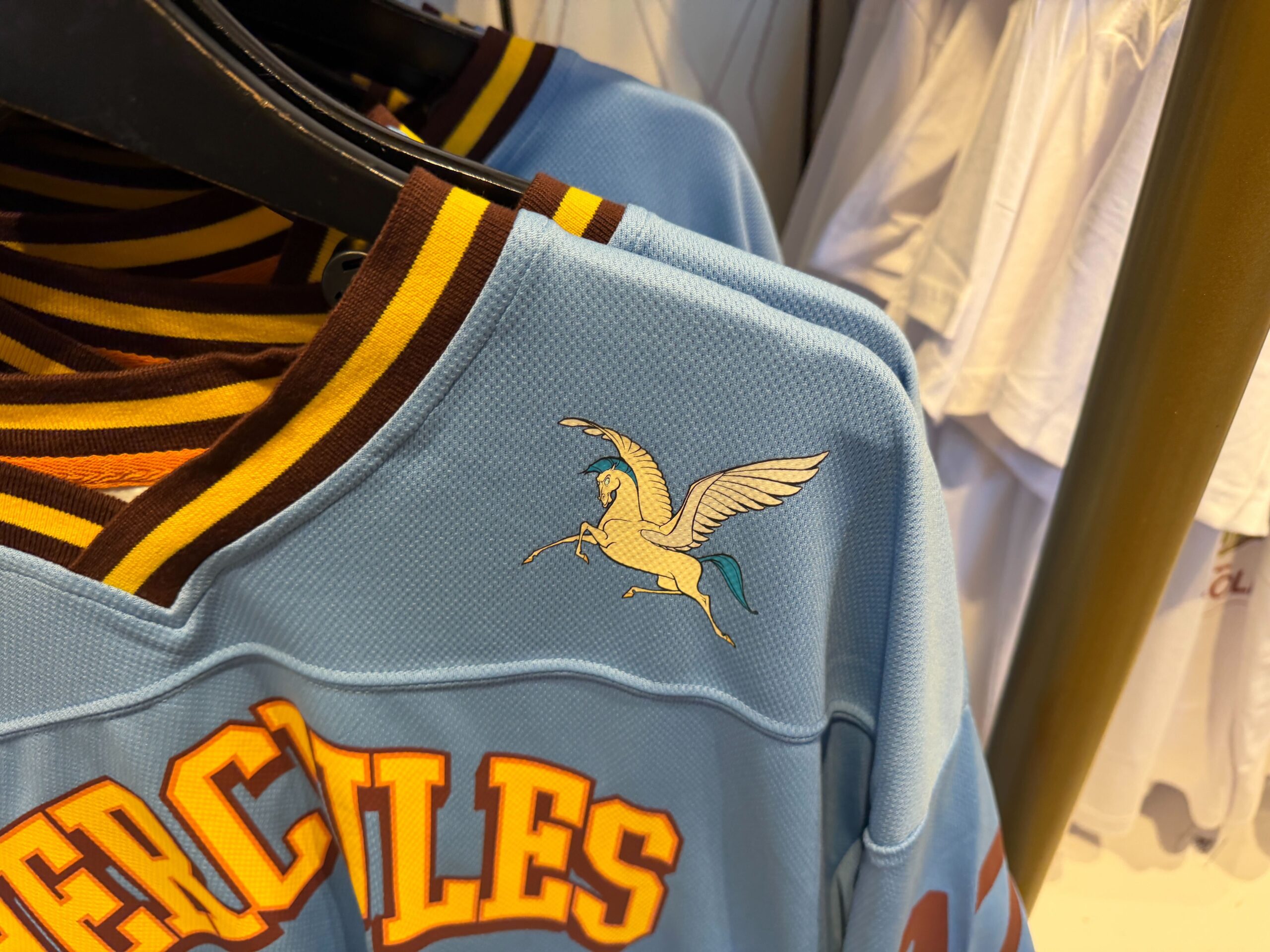 Prince sports jerseys at Magic Kingdom