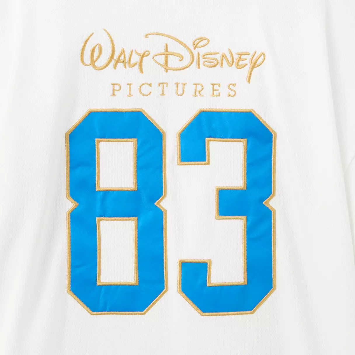 Close-up of back of Walt Disney Pictures Hockey Pullover Hoodie.