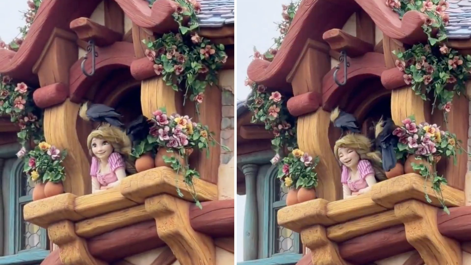 Crows Now Attacking Maximus Animatronic After Bird Deterrent is Added to Rapunzelâs Tower at Tokyo D