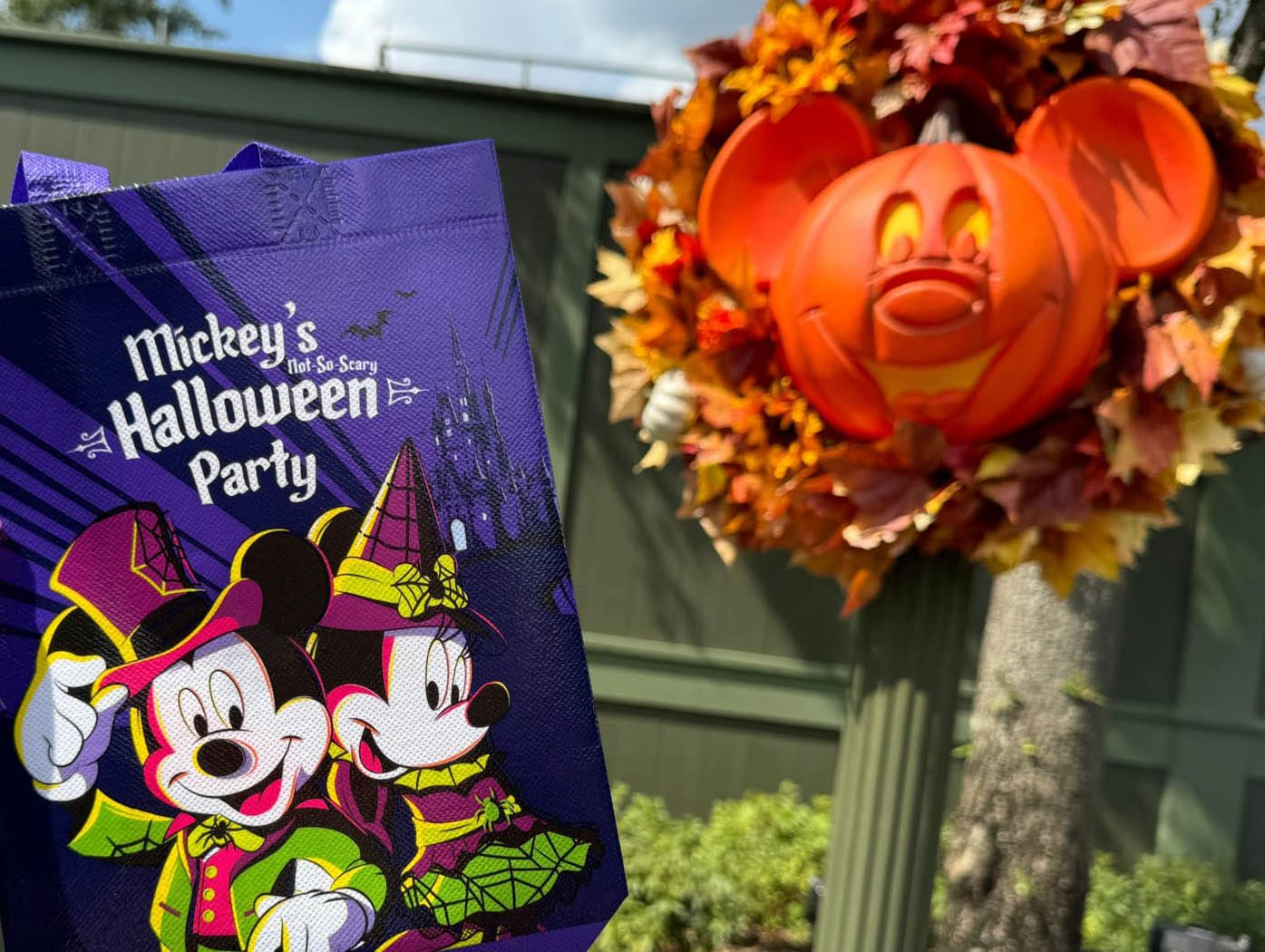Mickey's Not So Scary Halloween Party at Magic Kingdom in Walt Disney World