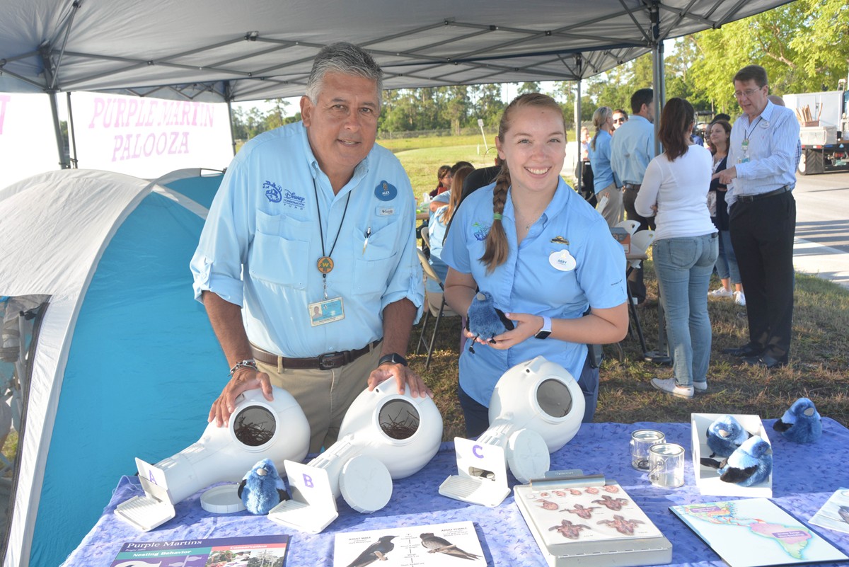 Celebrate Purple Martin Palooza at Disney’s Magnolia Golf Course