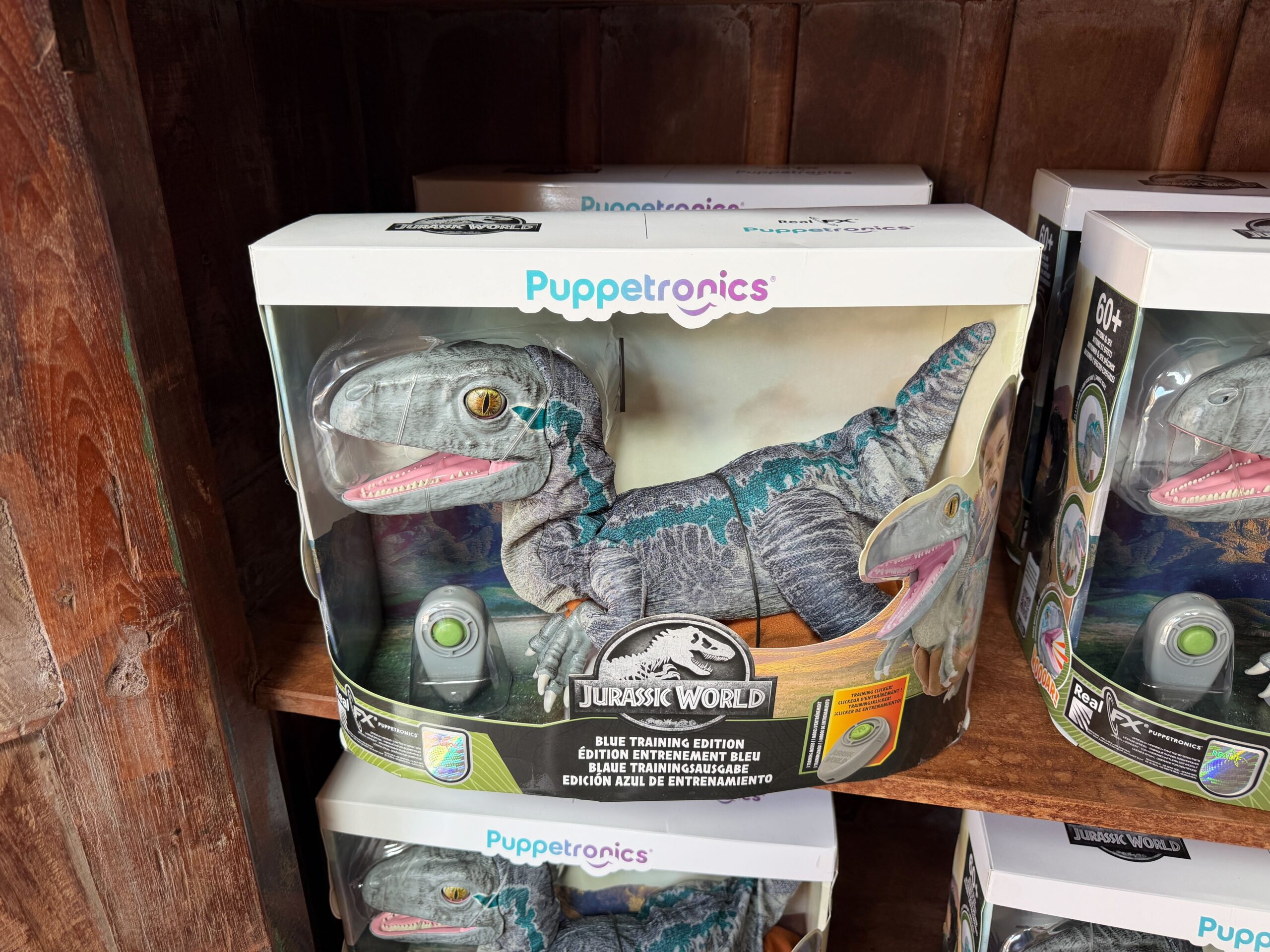 Jurassic Park blue velocipator puppetronic at Universal's Islands of Adventure