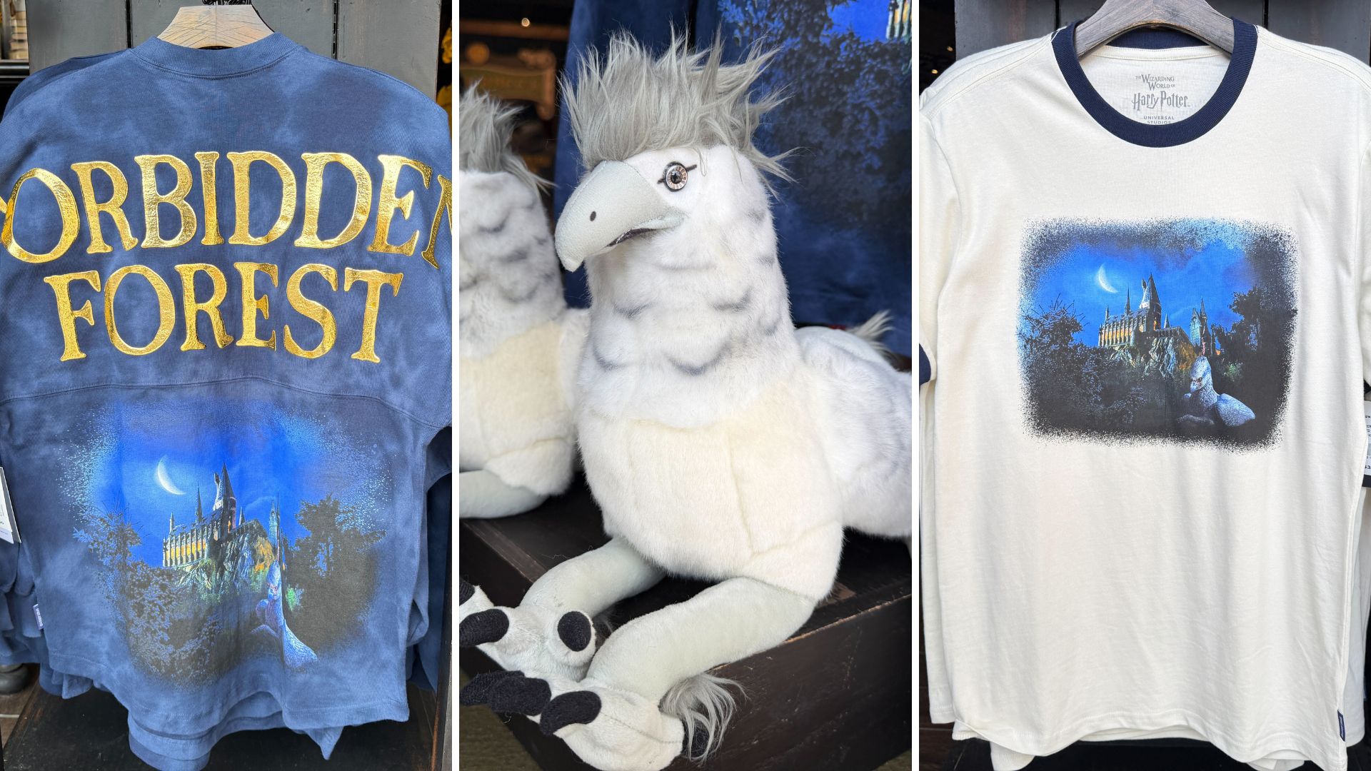 Full List: 'Harry Potter' Universal Studios Hollywood Fan Fest Nights Merchandise 2026