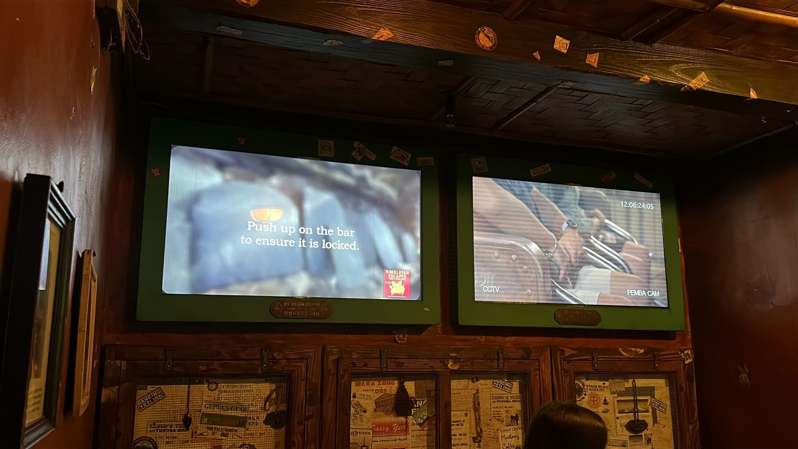 The Expedition Everest - Legend of the Forbidden Mountain queue at Disney's Animal Kingdom now has screens displaying a brand-new safety video.