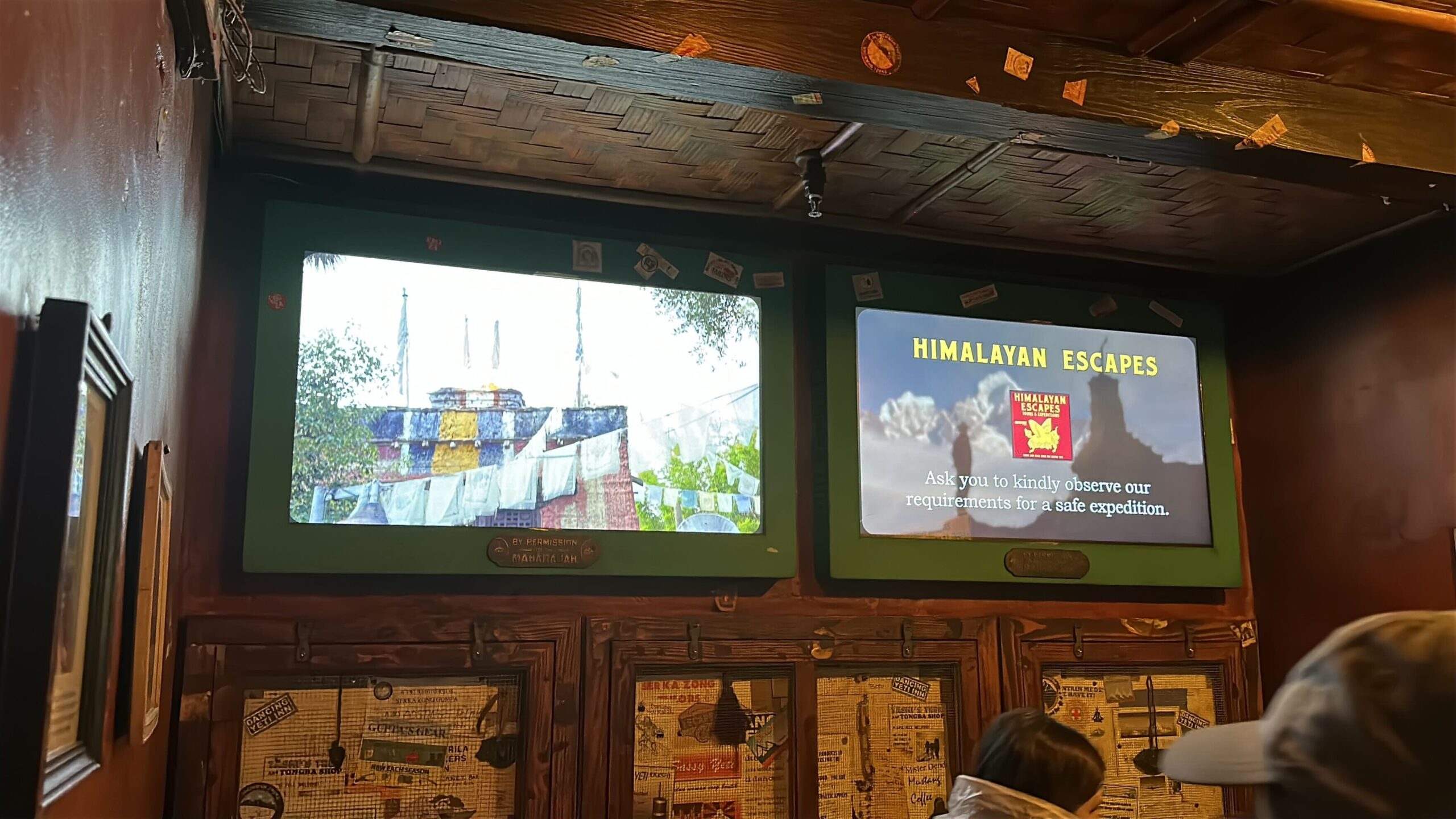 The Expedition Everest - Legend of the Forbidden Mountain queue at Disney's Animal Kingdom now has screens displaying a brand-new safety video.