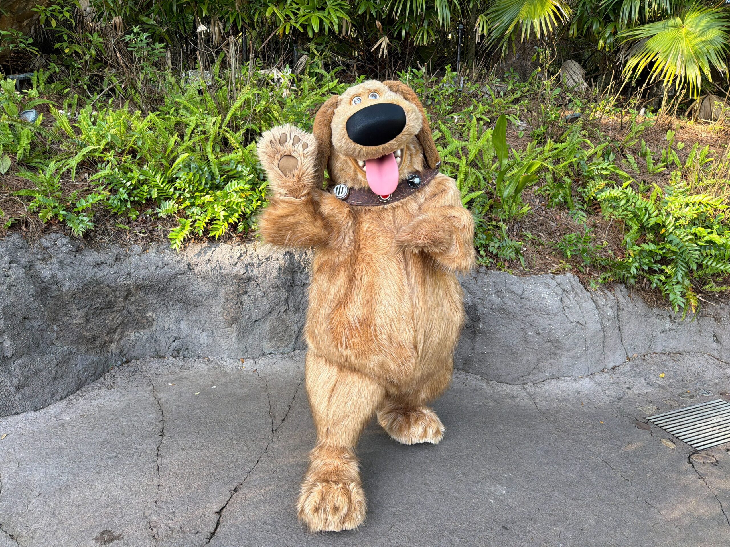 Talking Dug From ‘Up’ Returns to Disney’s Animal Kingdom