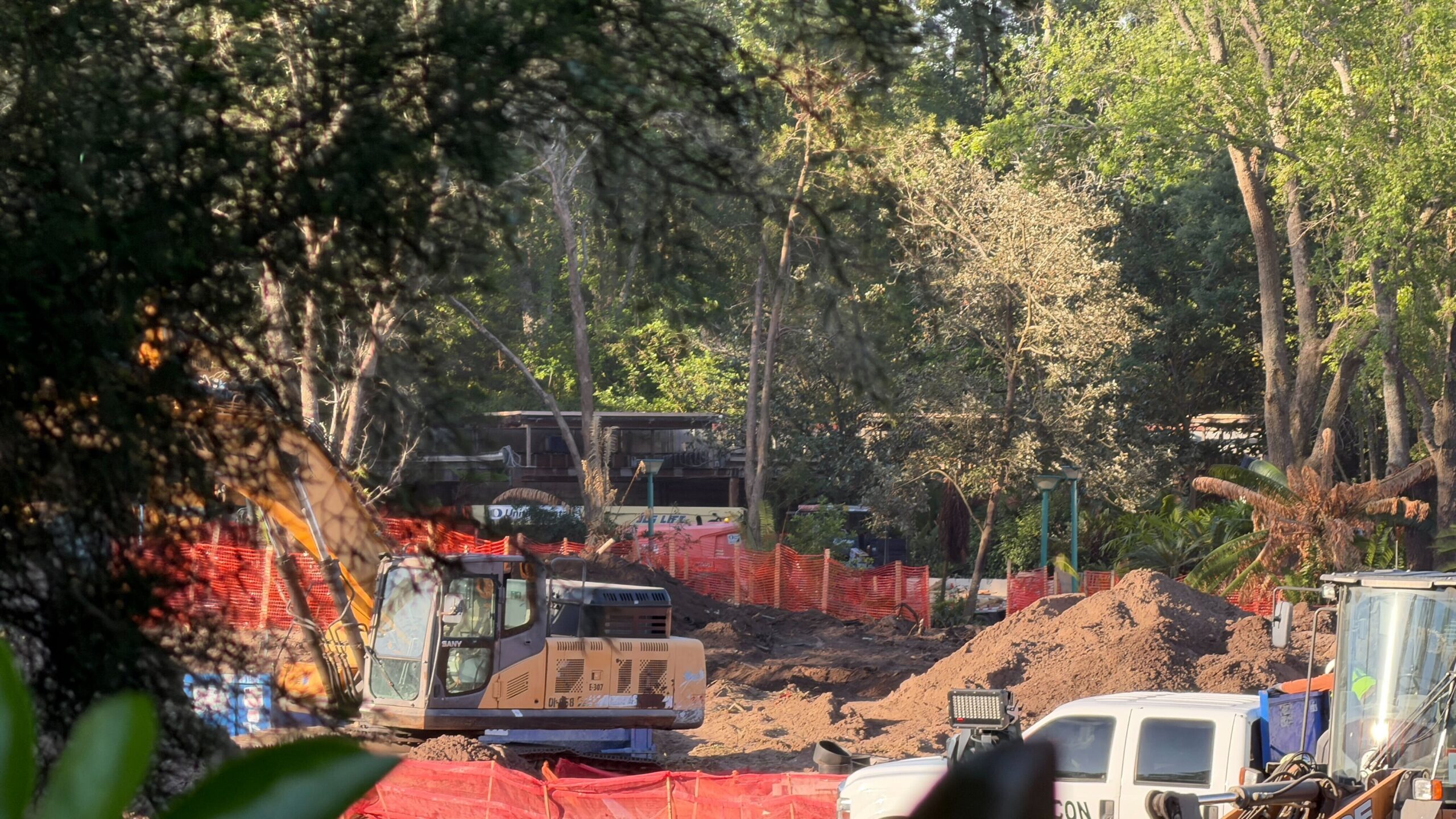 Crews continue to clear trees from the former Cretaceous Trail, which will be home to a new playground. Part of the covered outdoor queue of the former DINOSAUR is visible through the remaining trees. DINOSAUR will become a new Indiana Jones ride.