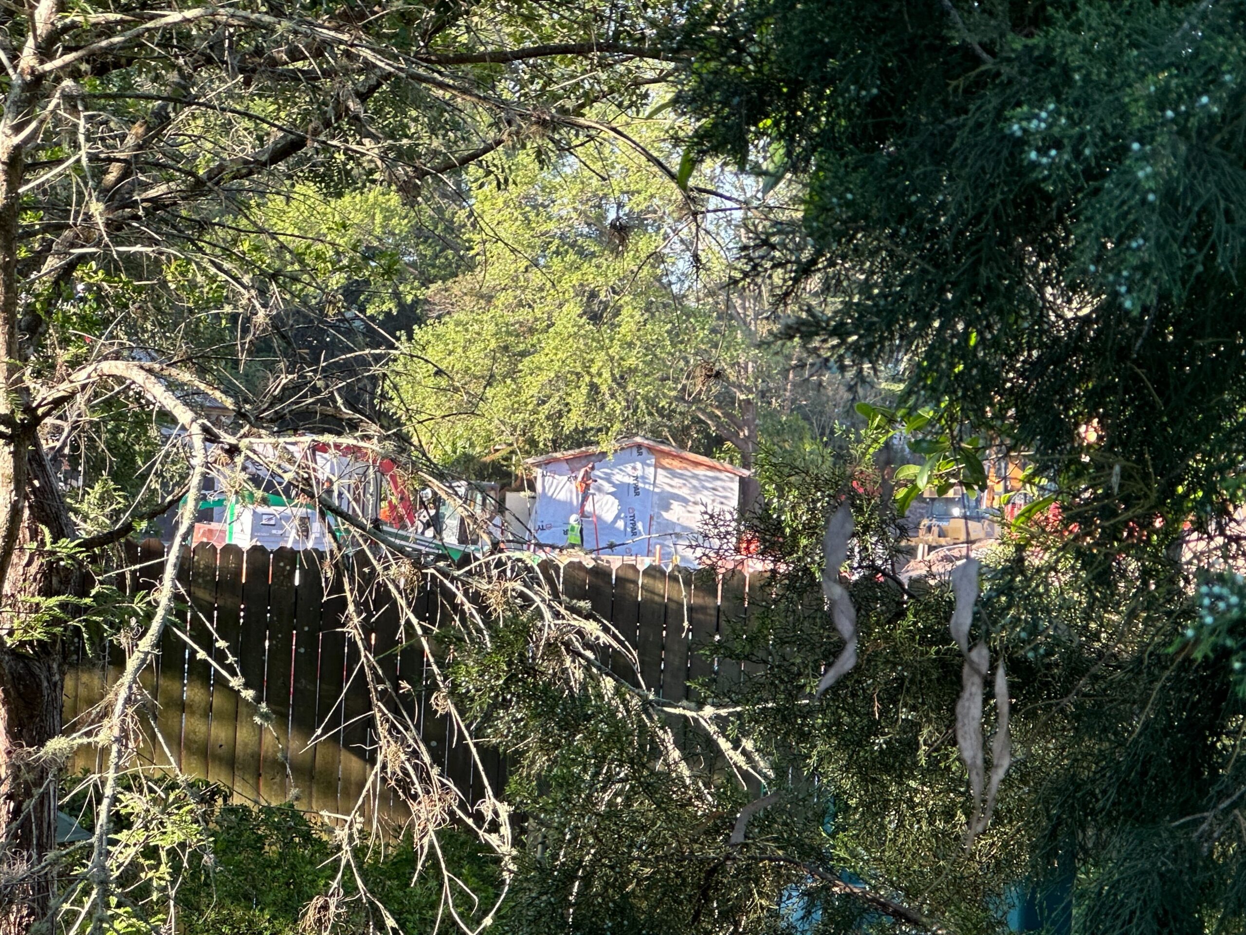 Tropical Americas Construction Continues on 'Encanto' Ride Entrance, Former Dinosaur Treasures, and Carousel