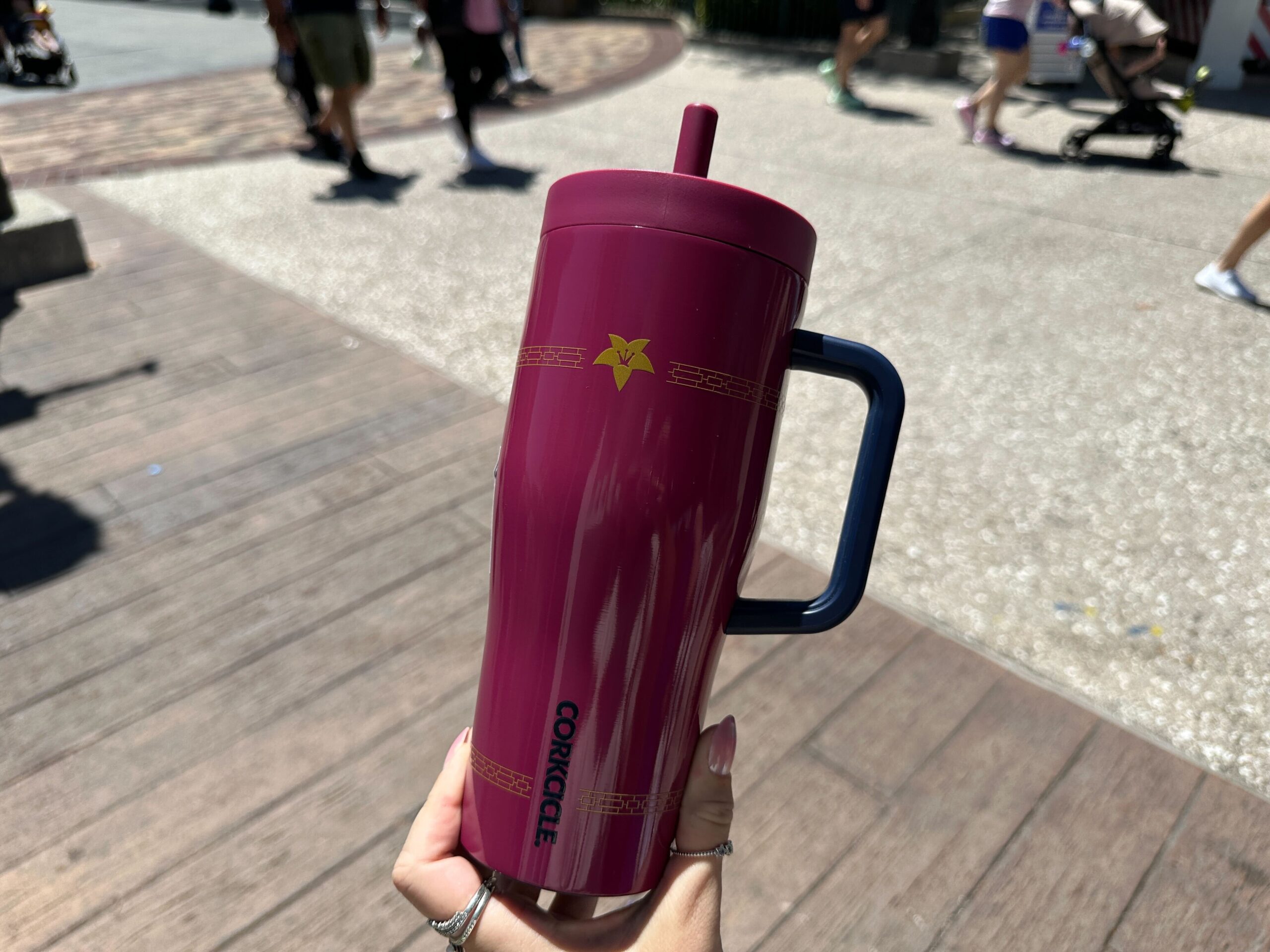 Back of Corkcicle Mulan cruiser.