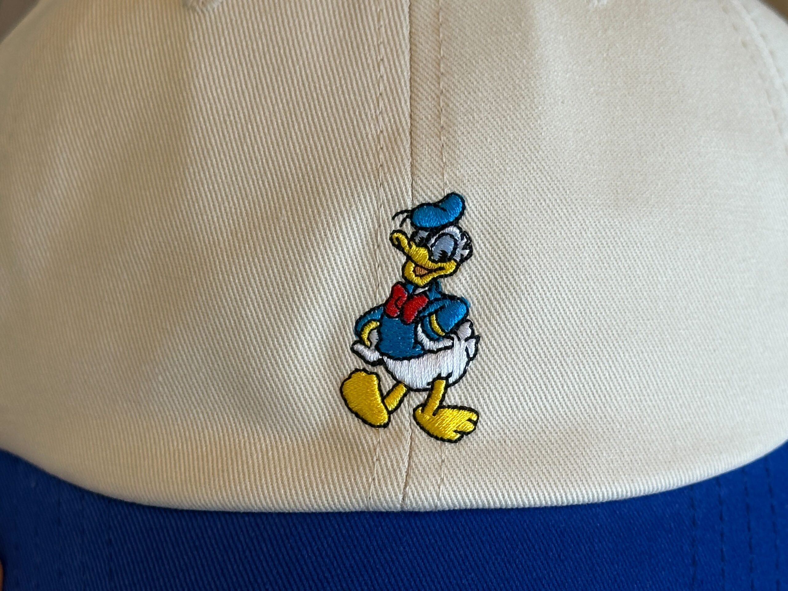 Close-up of front of Donald Hat.