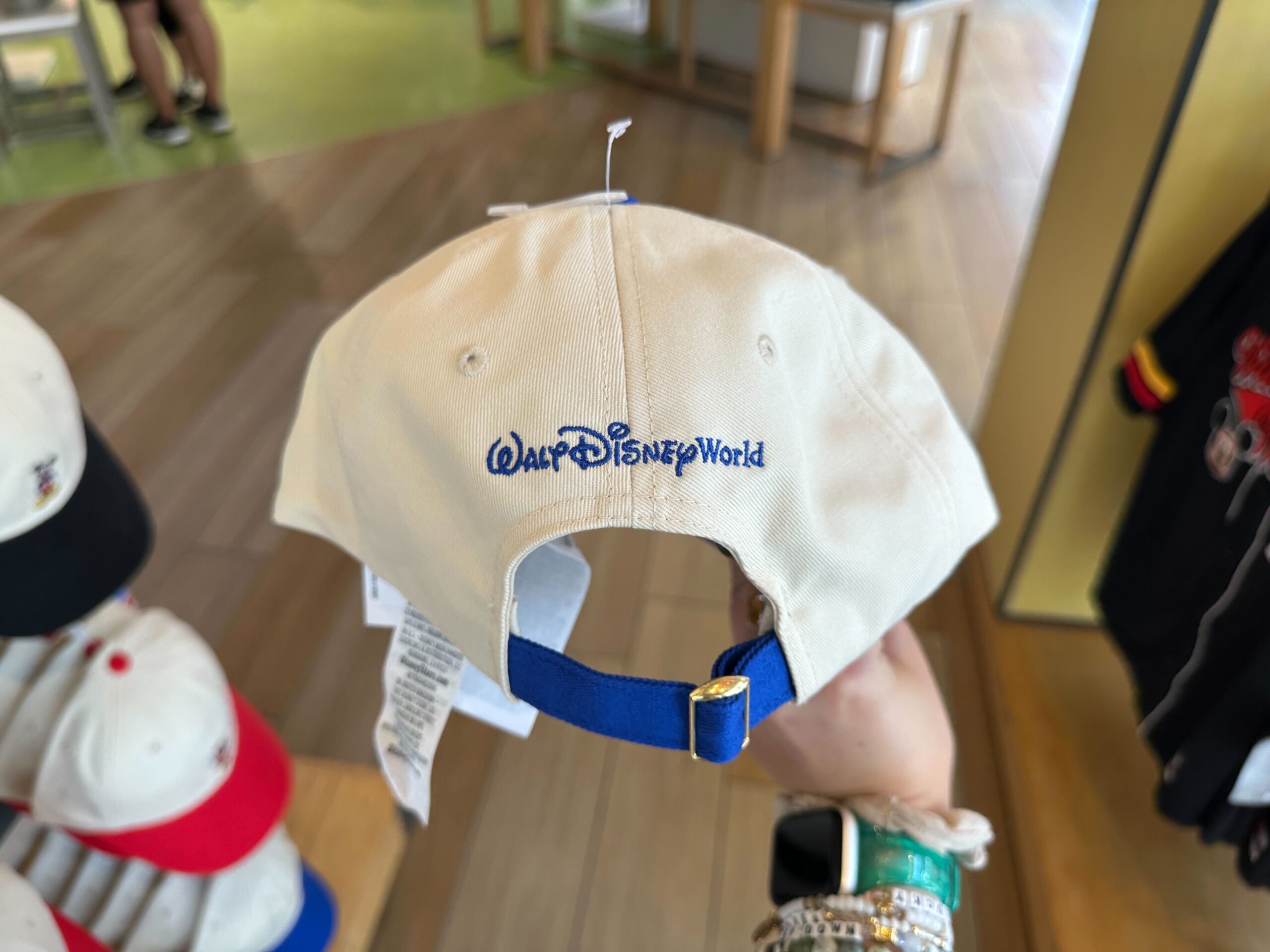 Back of Donald Hat.