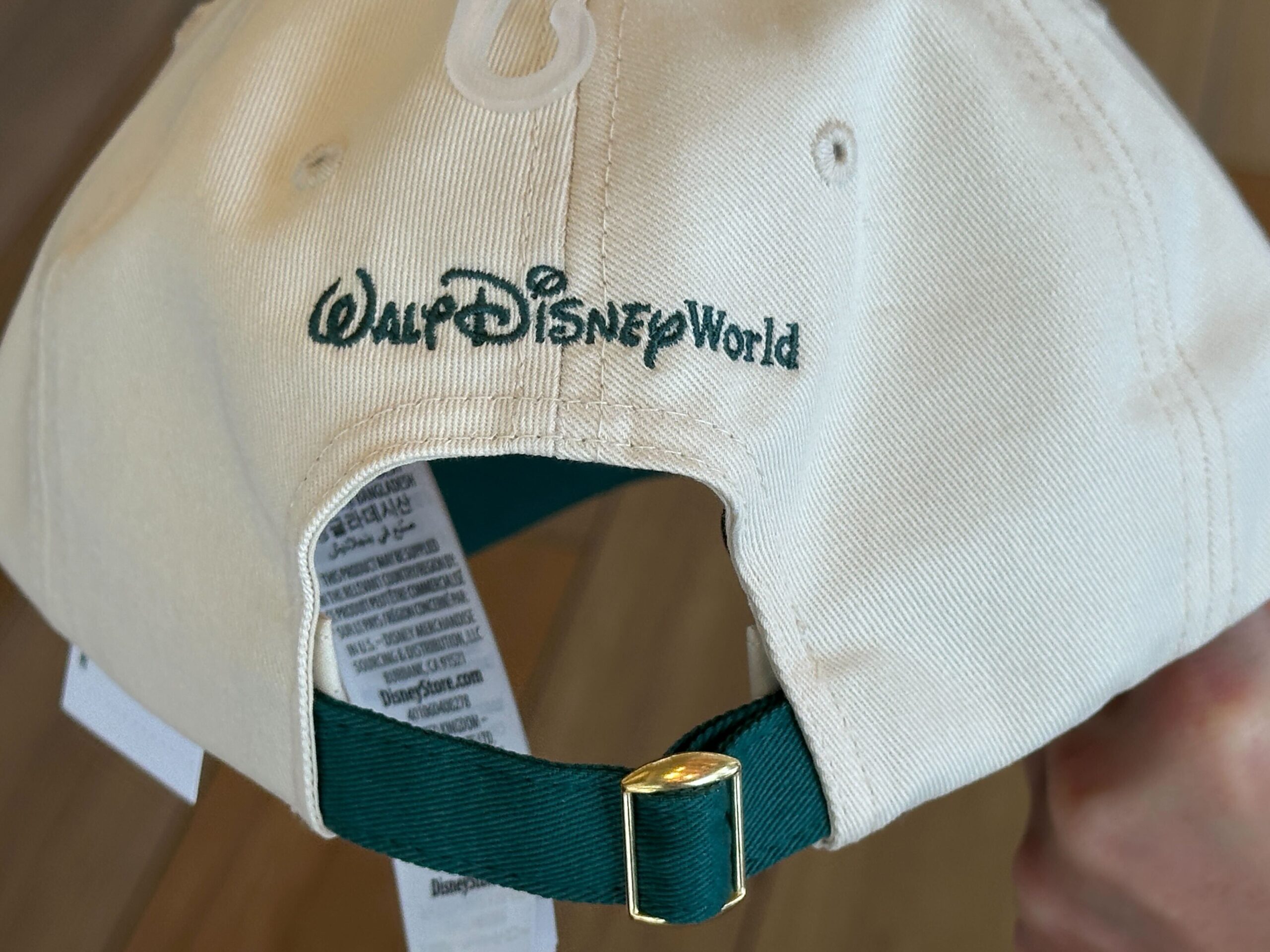 Back of Goofy Hat.