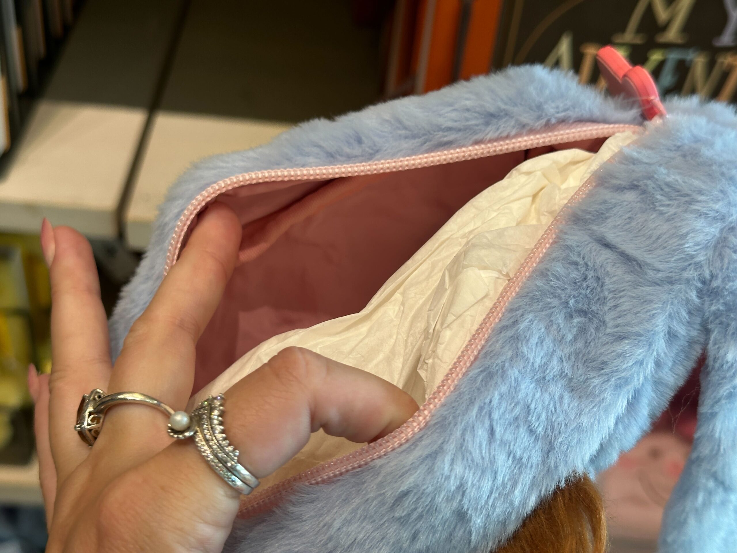 Inside of Eeyore Zip Pouch.