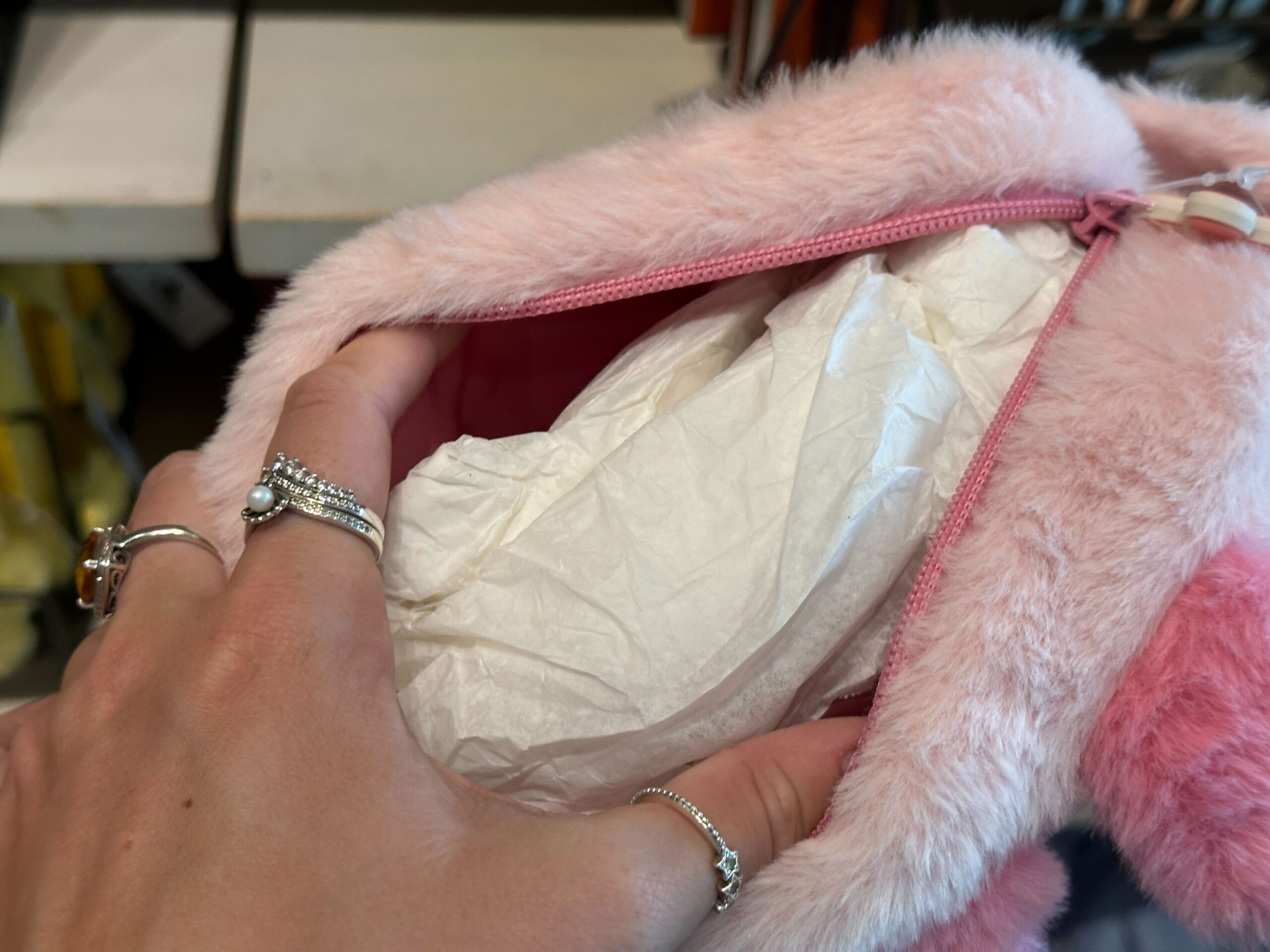 Inside of Piglet Zip Pouch.