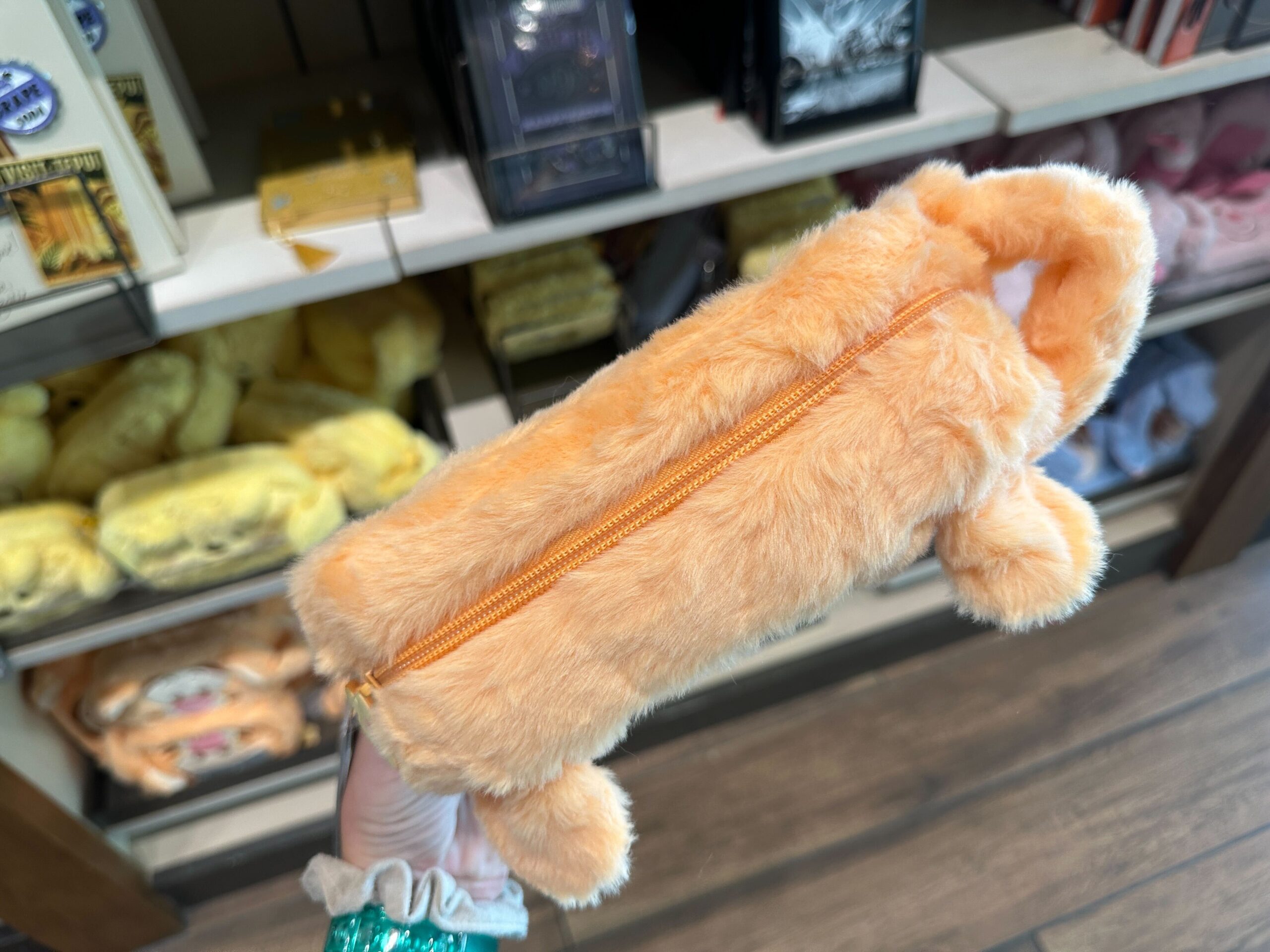Top of Tigger Zip Pouch.