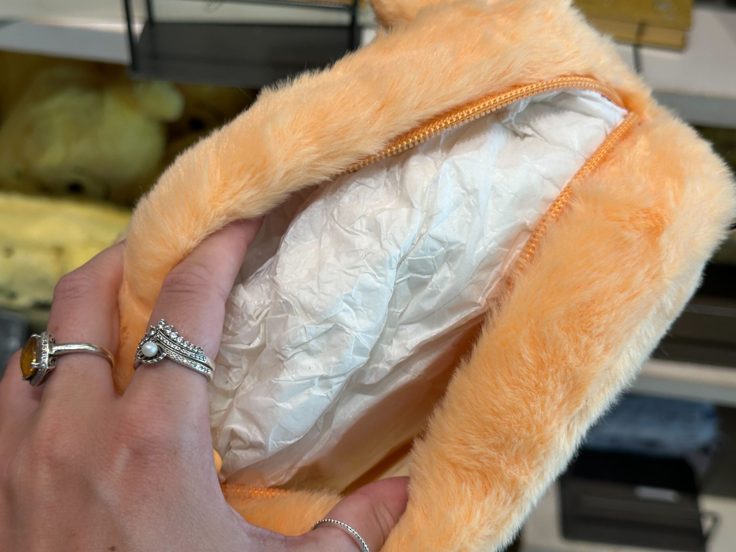 Inside of Tigger Zip Pouch.