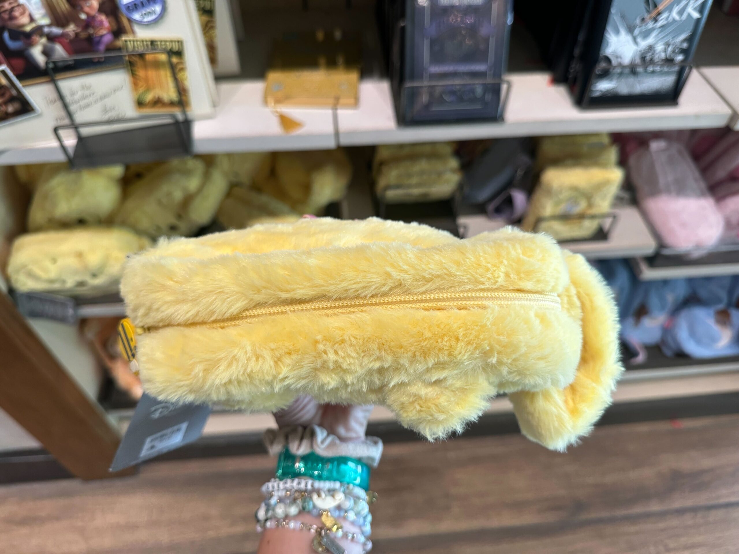 Top of Winnie the Pooh Zip Pouch.