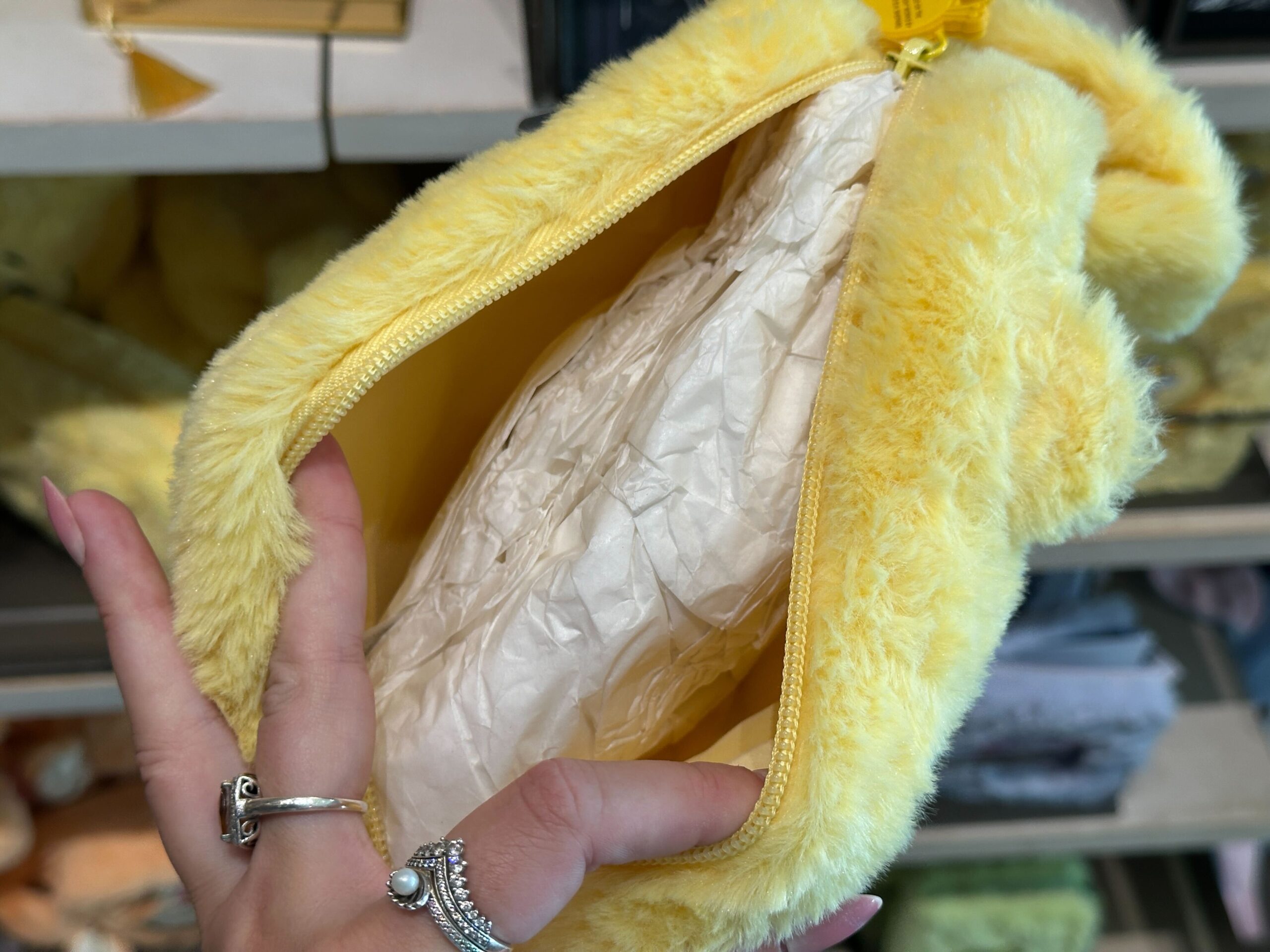 Inside of Winnie the Pooh Zip Pouch.